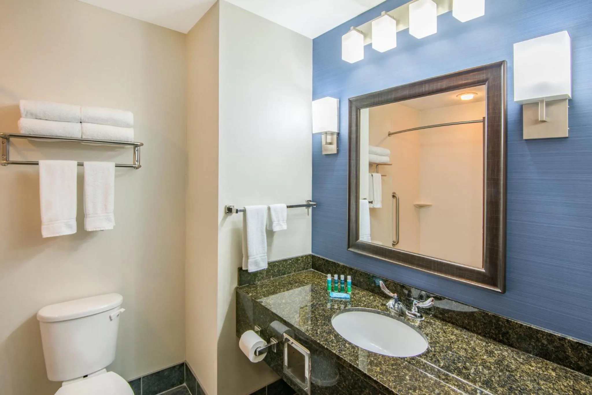 Bathroom in Holiday Inn Express Cleveland Airport - Brook Park by IHG