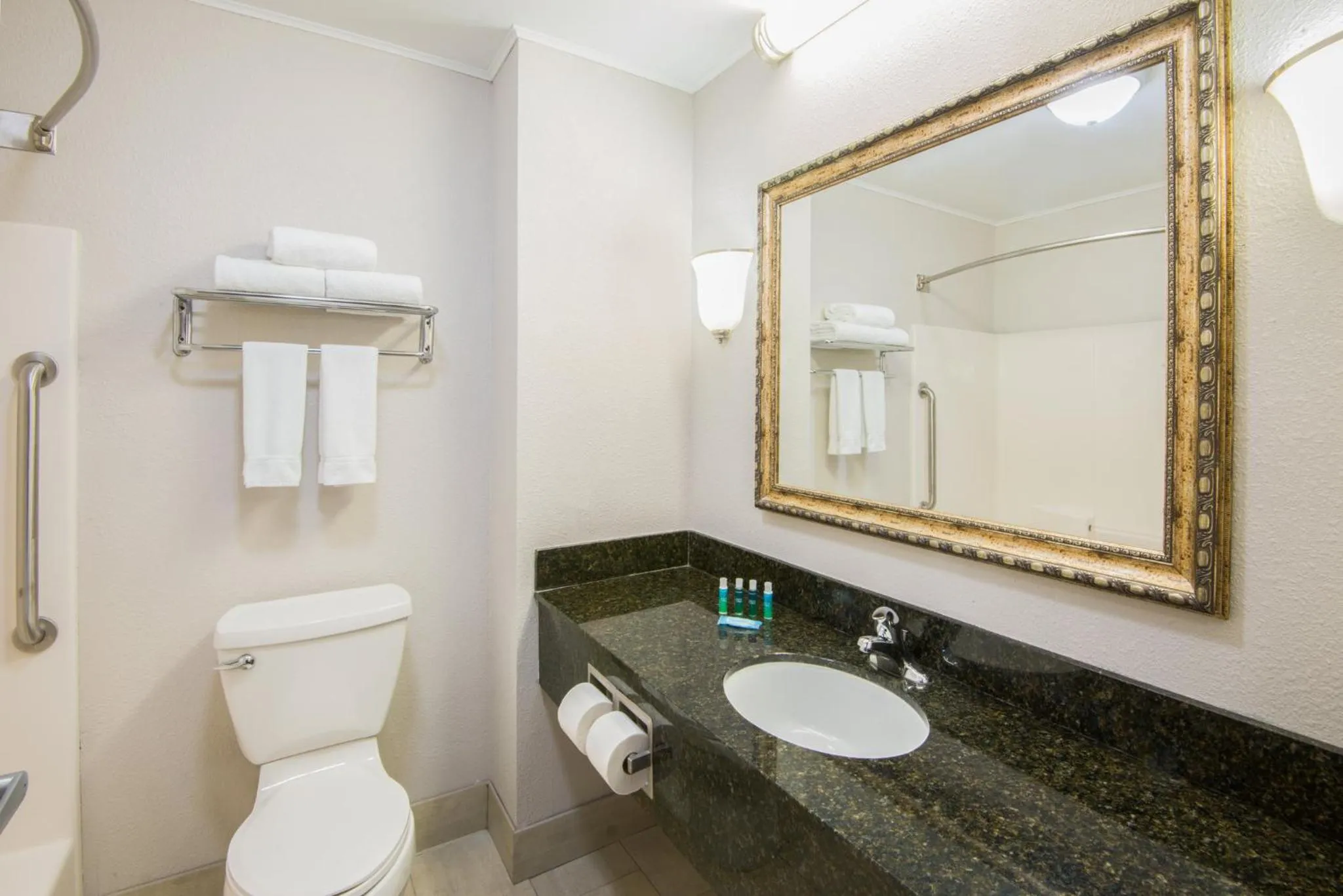 Bathroom in Holiday Inn Express Cleveland Airport - Brook Park by IHG