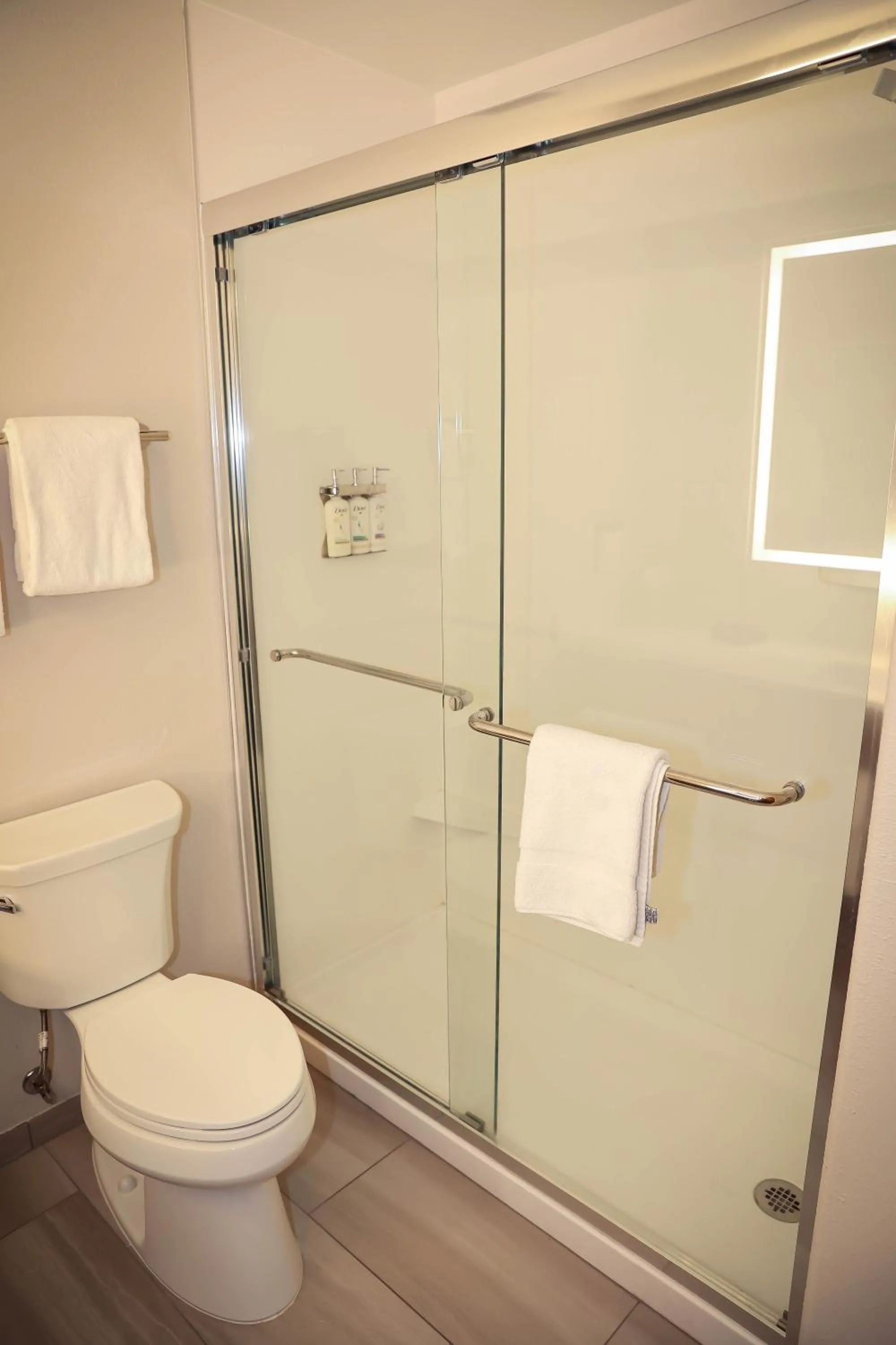 Bathroom in Holiday Inn Express & Suites Douglas by IHG