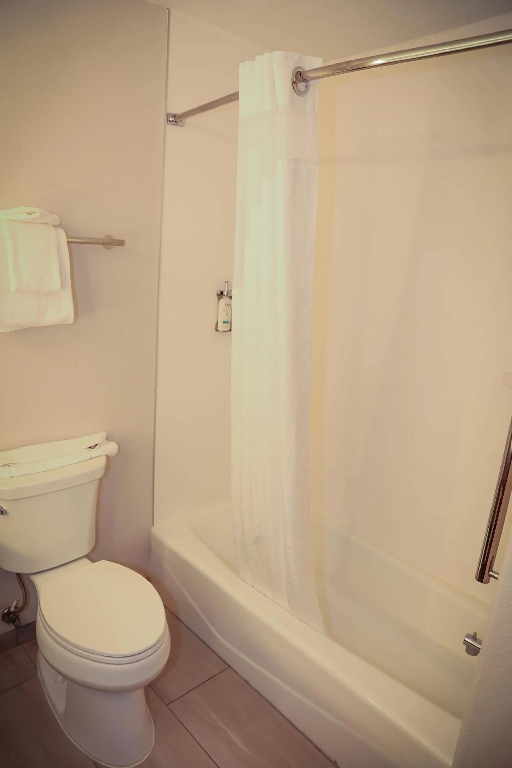 Toilet in Holiday Inn Express & Suites Douglas by IHG