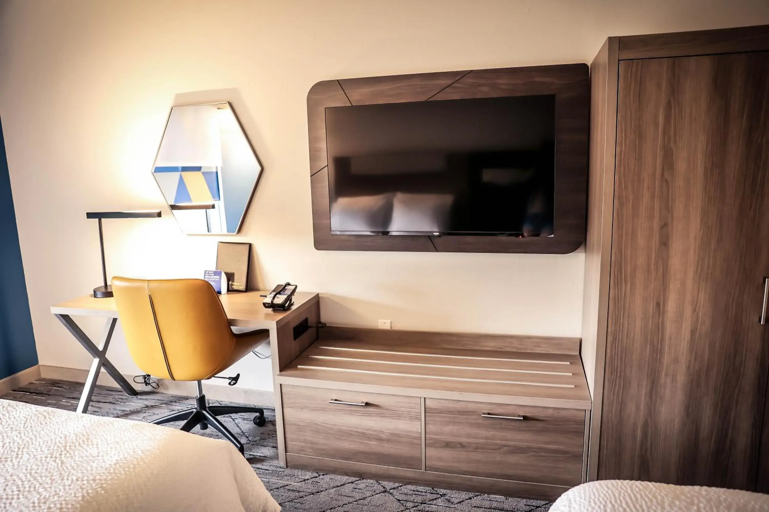 Standard Room in Holiday Inn Express & Suites Douglas by IHG Standard Room in Holiday Inn Express & Suites Douglas by IHG