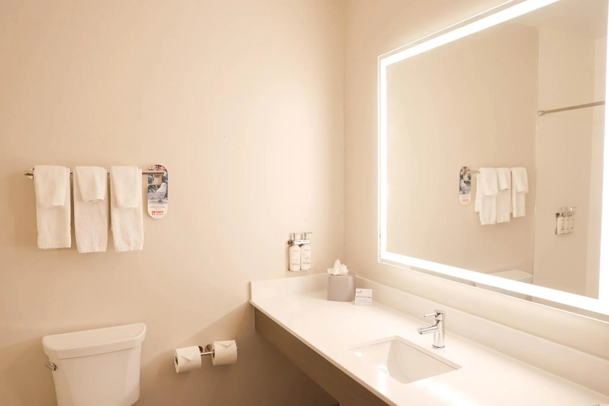 Photo of the whole room in Holiday Inn Express & Suites Douglas by IHG