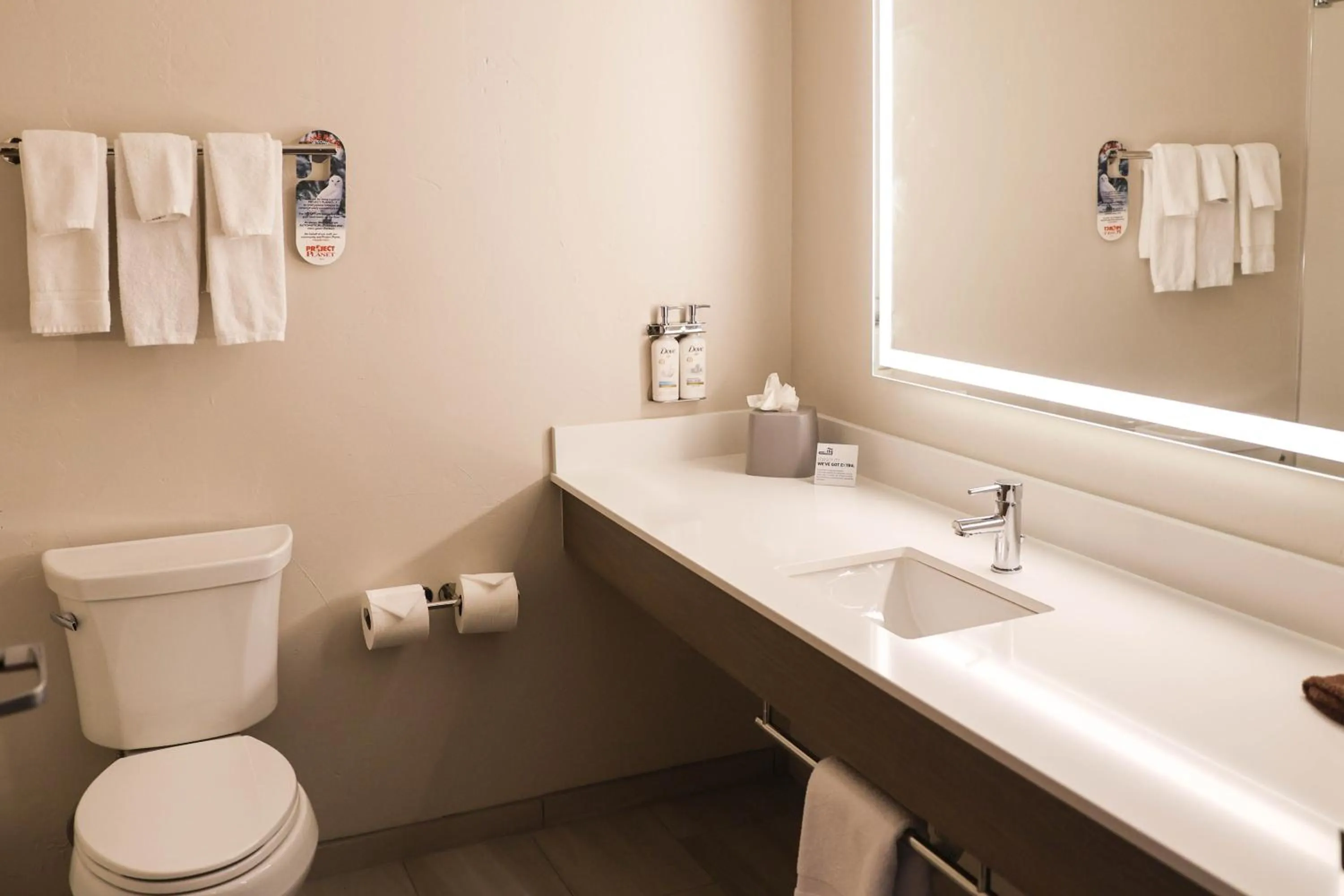 Toilet in Holiday Inn Express & Suites Douglas by IHG