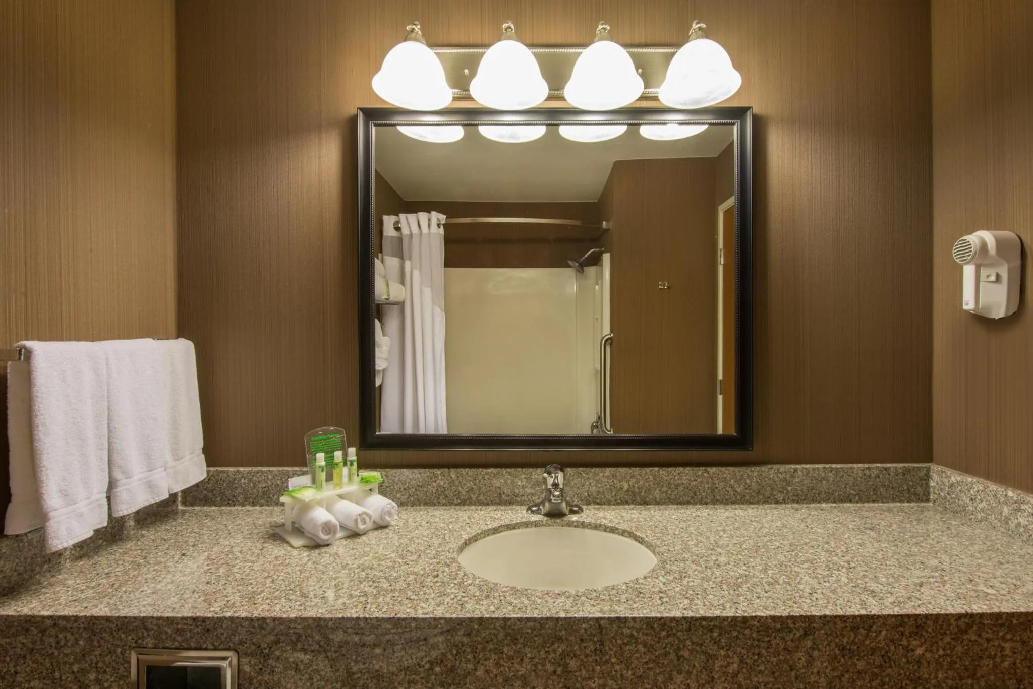 Bathroom in Holiday Inn Express & Suites Douglas by IHG