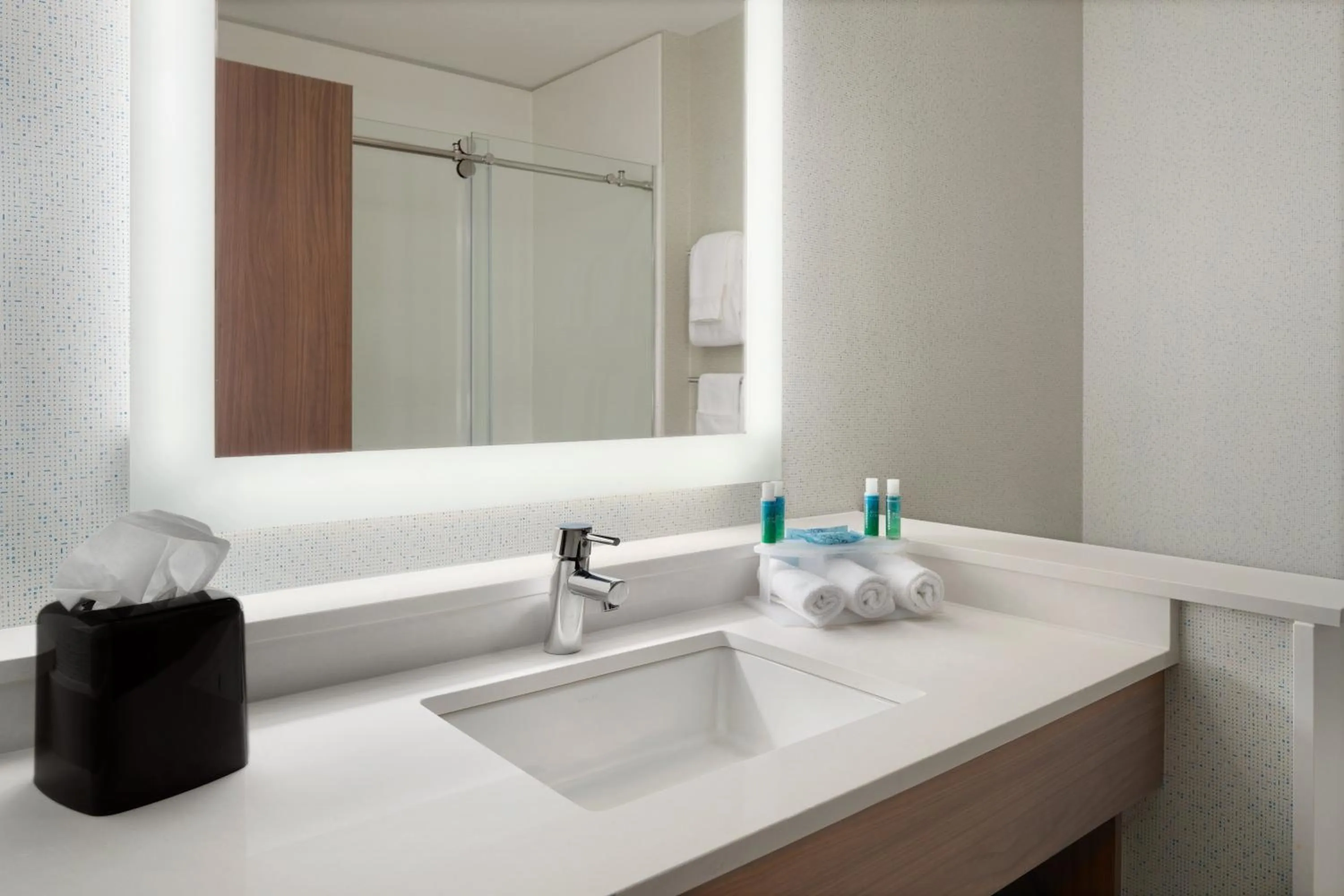 Bathroom in Holiday Inn Express & Suites Duluth North - Miller Hill by IHG