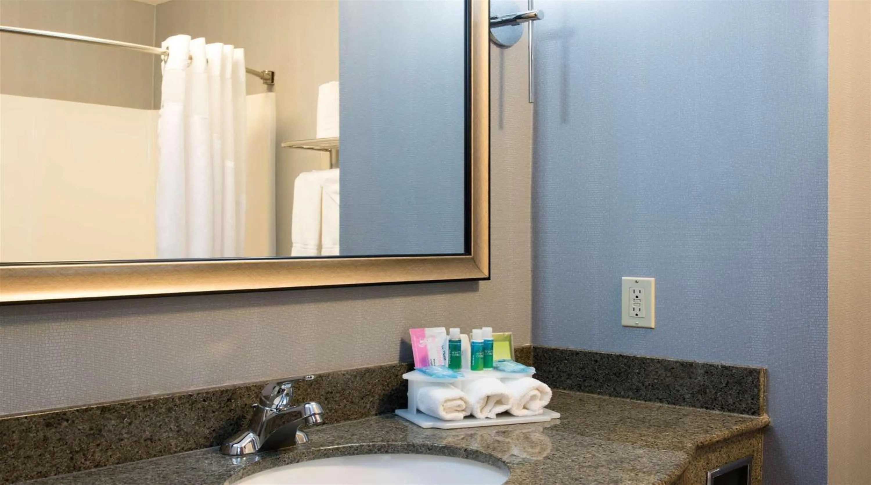 Bathroom in Holiday Inn Express & Suites Danville by IHG