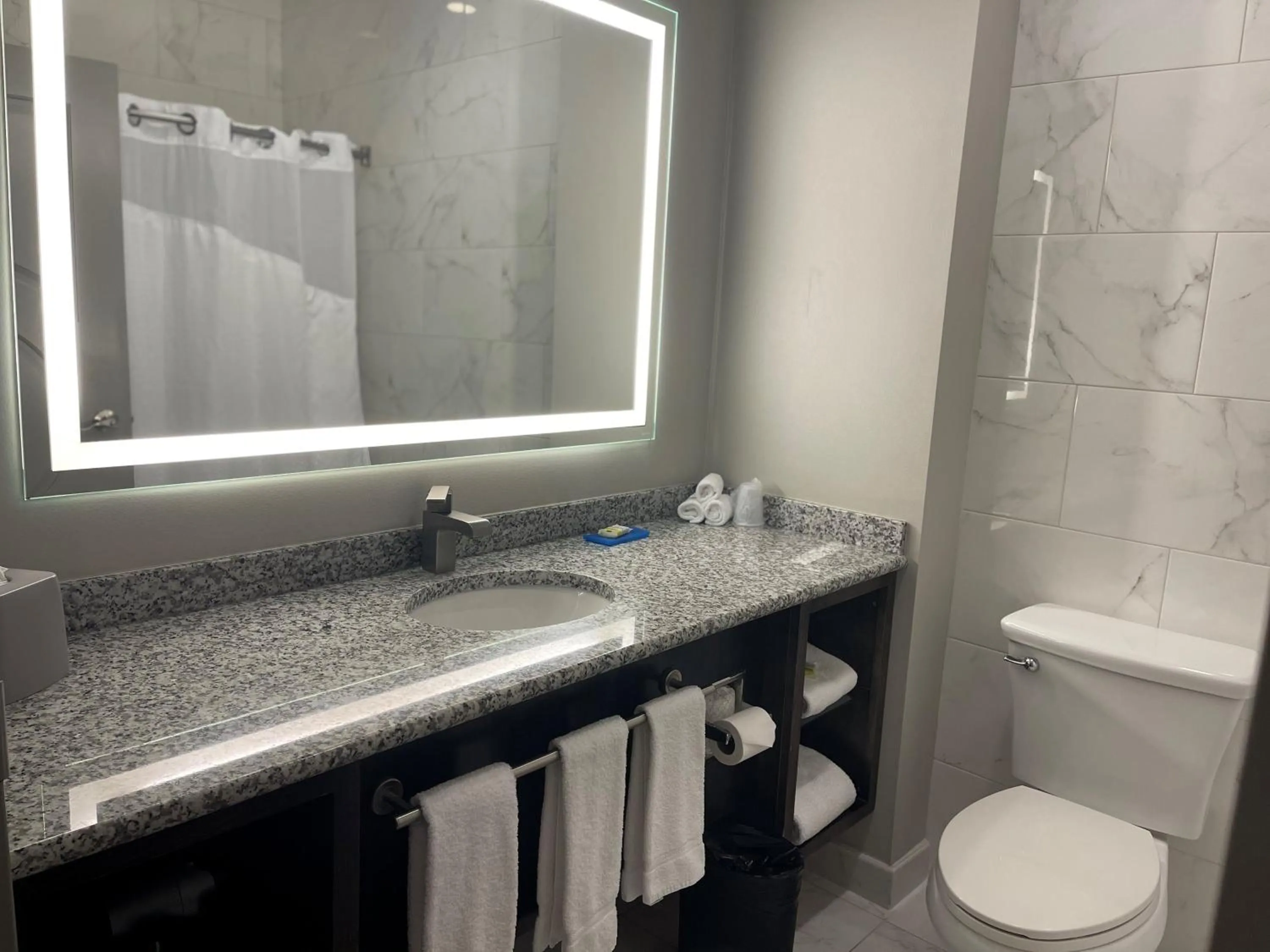 Bathroom in Holiday Inn Express & Suites Gonzales by IHG
