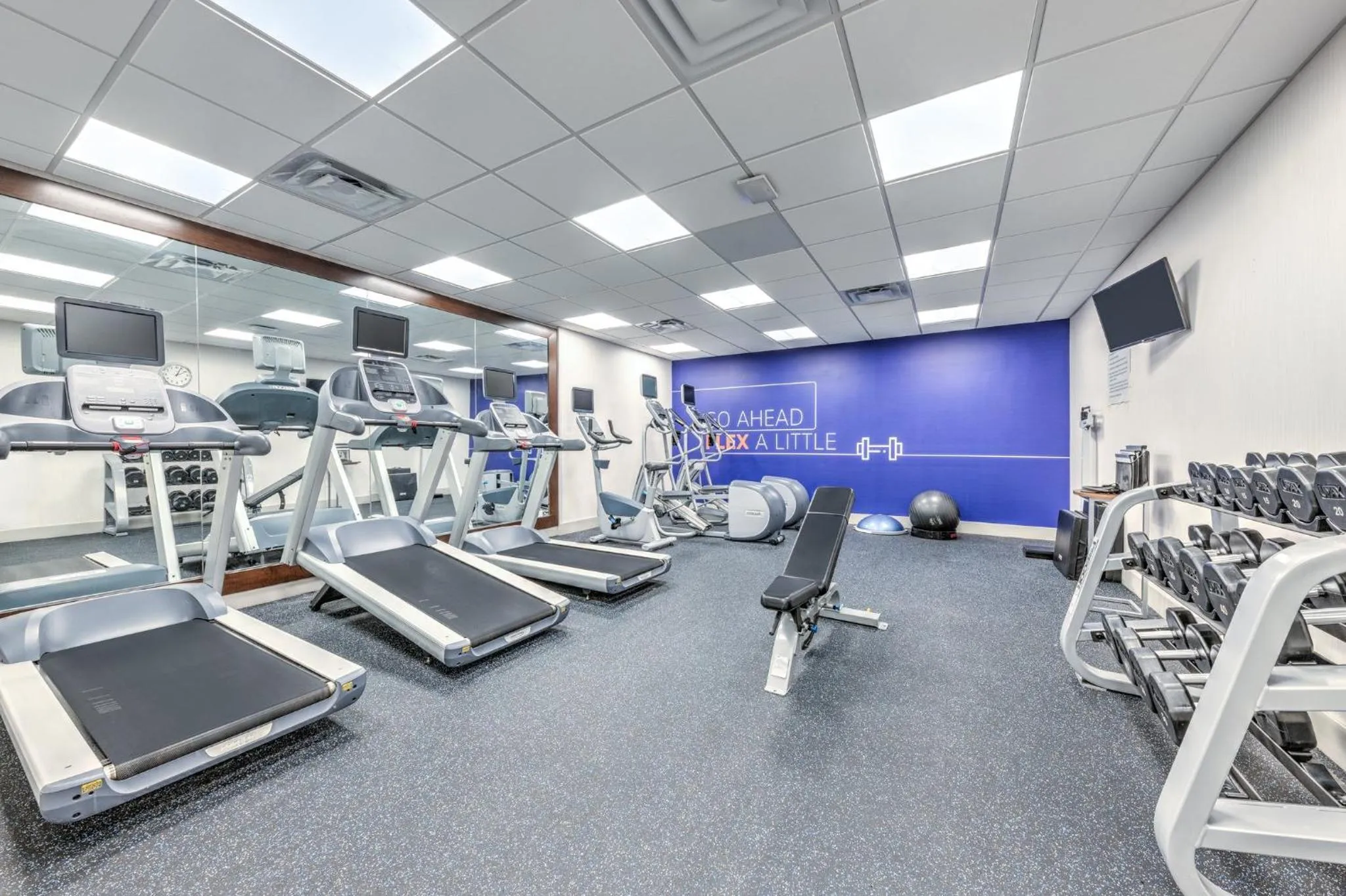 Fitness centre/facilities in Holiday Inn Express & Suites Houston S - Medical Ctr Area by IHG