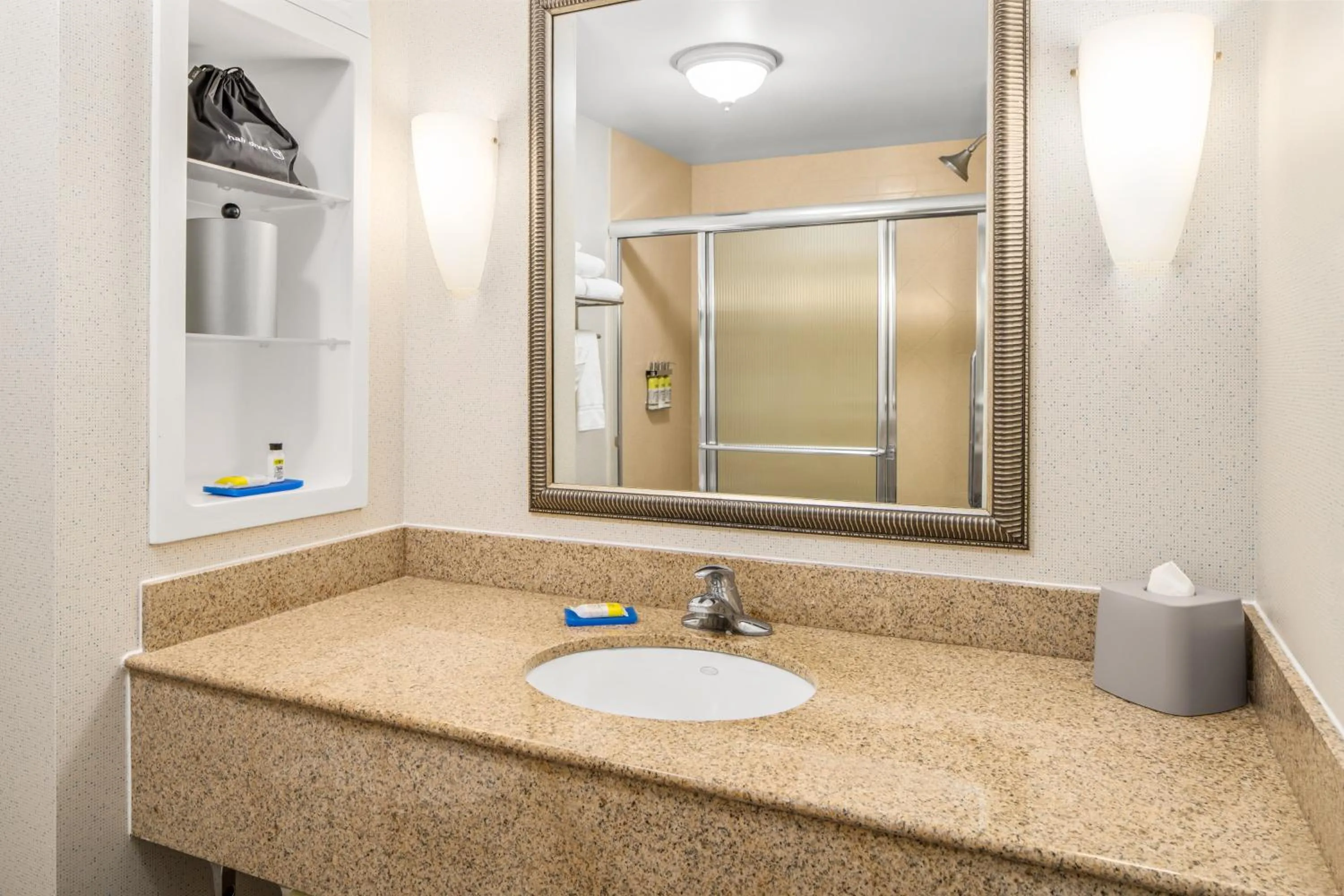 Bathroom in Holiday Inn Express & Suites Wilmington-Newark by IHG