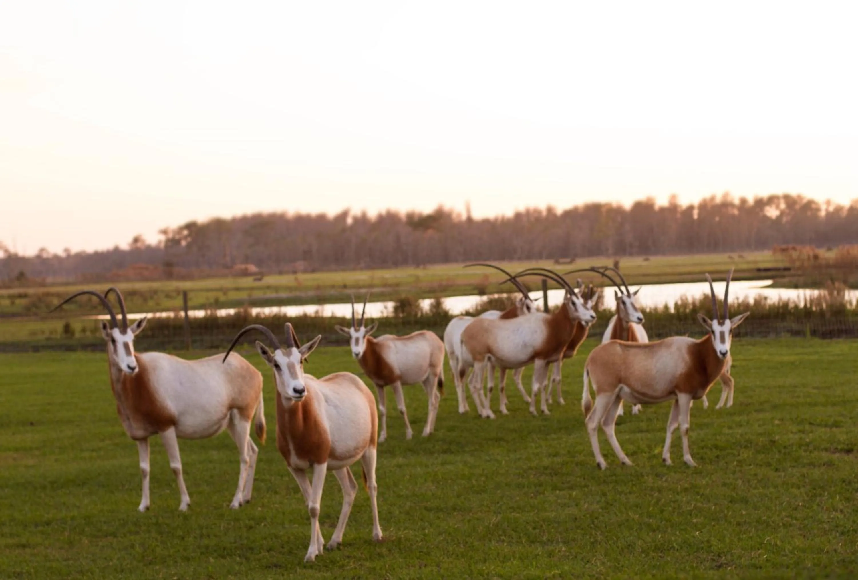 Nearby landmark in Holiday Inn Express & Suites Lakeland South by IHG