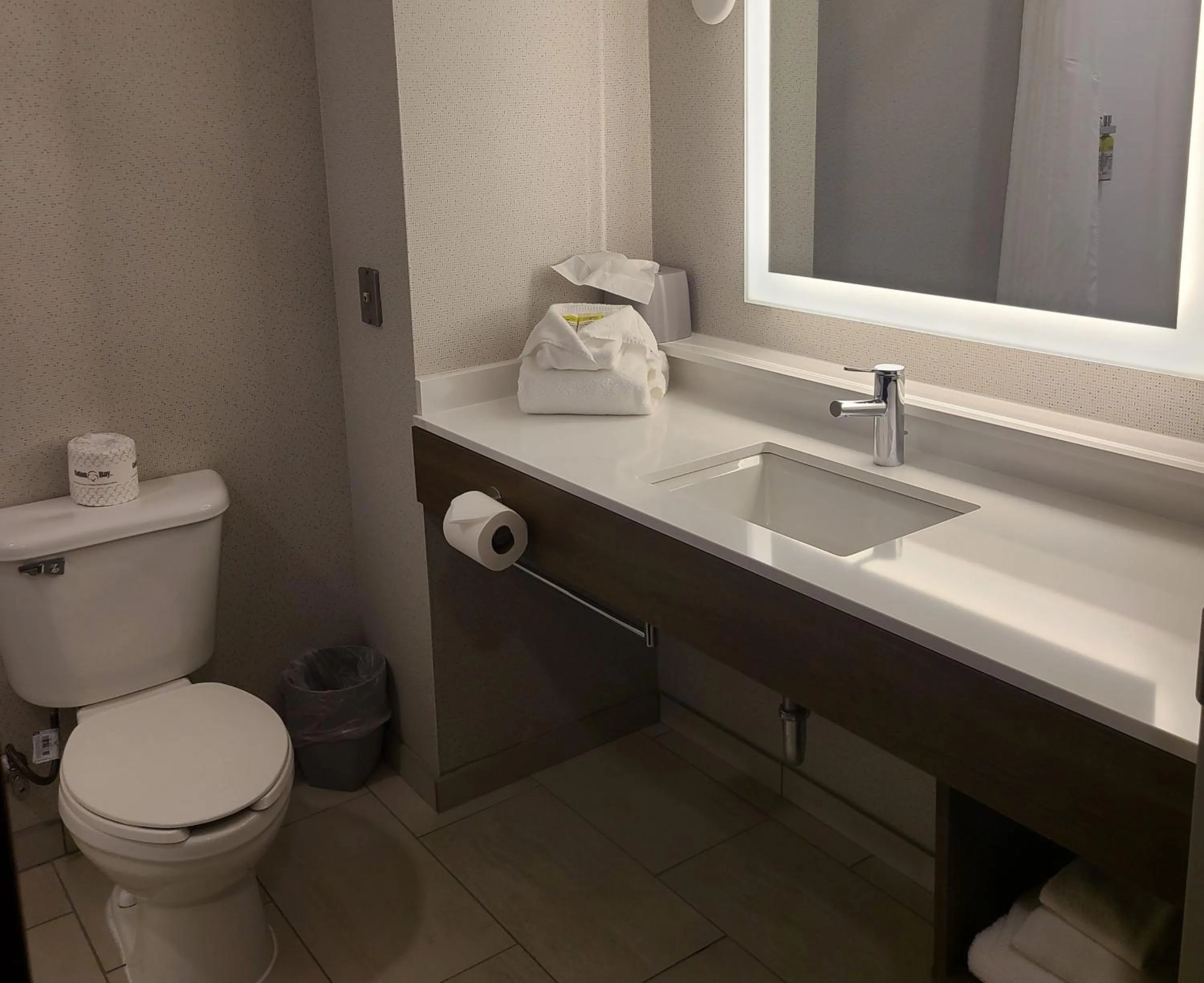 Bathroom in Holiday Inn Express Lordstown-Newton Falls/Warren by IHG