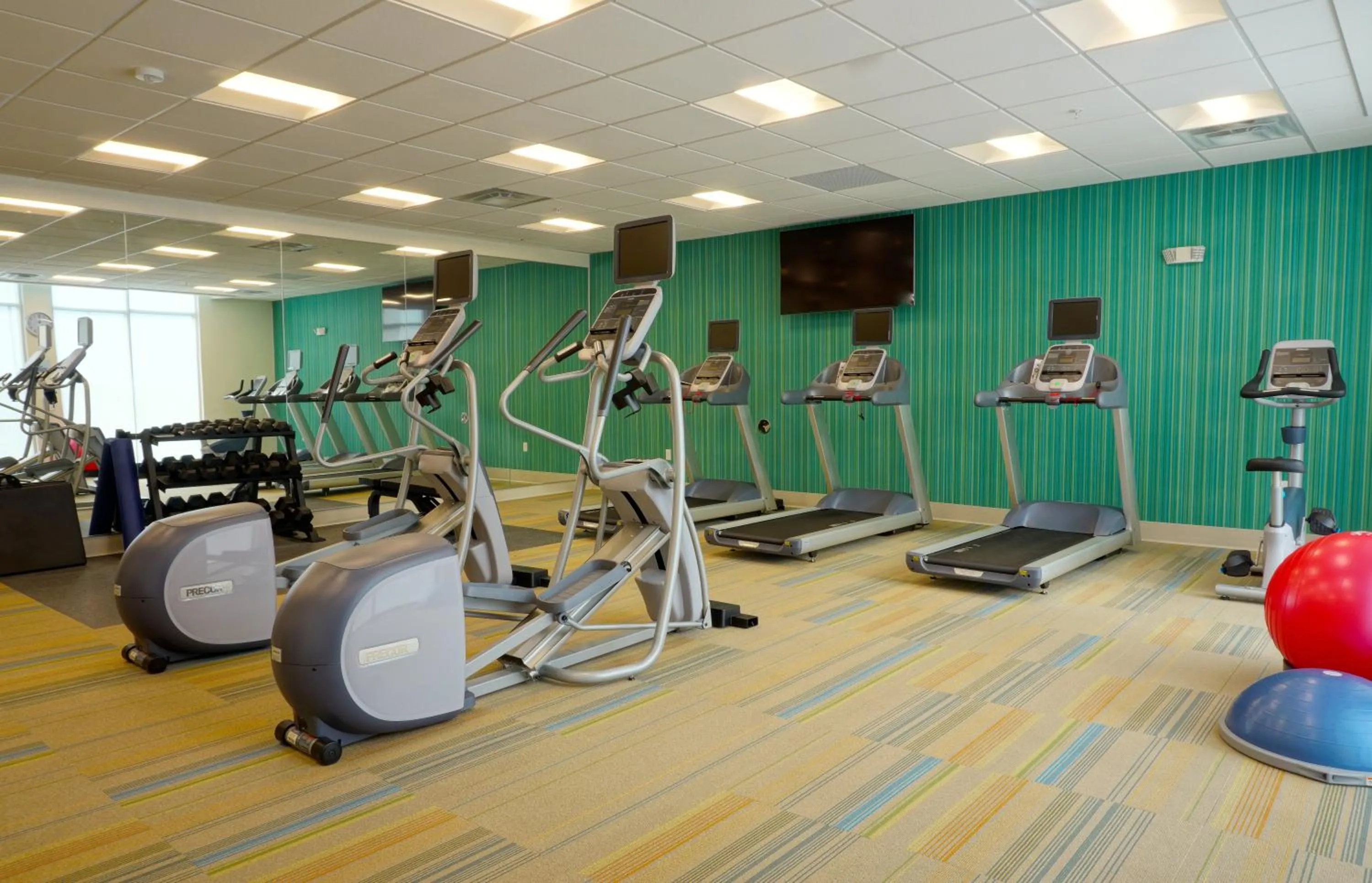 Fitness centre/facilities in Holiday Inn Express & Suites Omaha - Millard Area by IHG