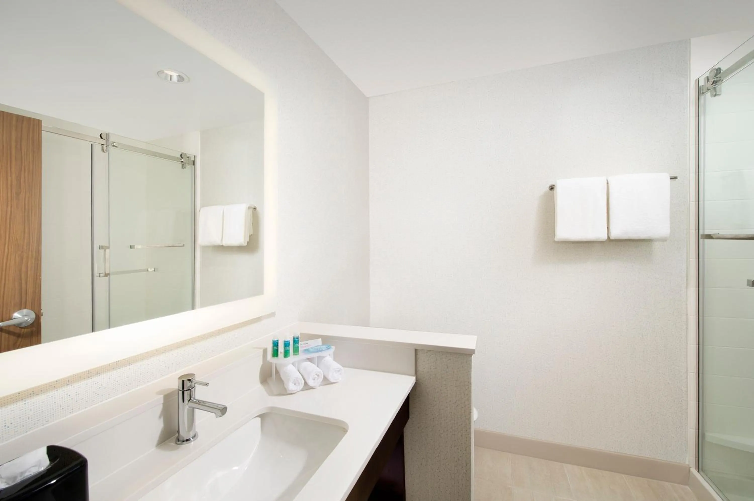 Bathroom in Holiday Inn Express & Suites New Braunfels by IHG