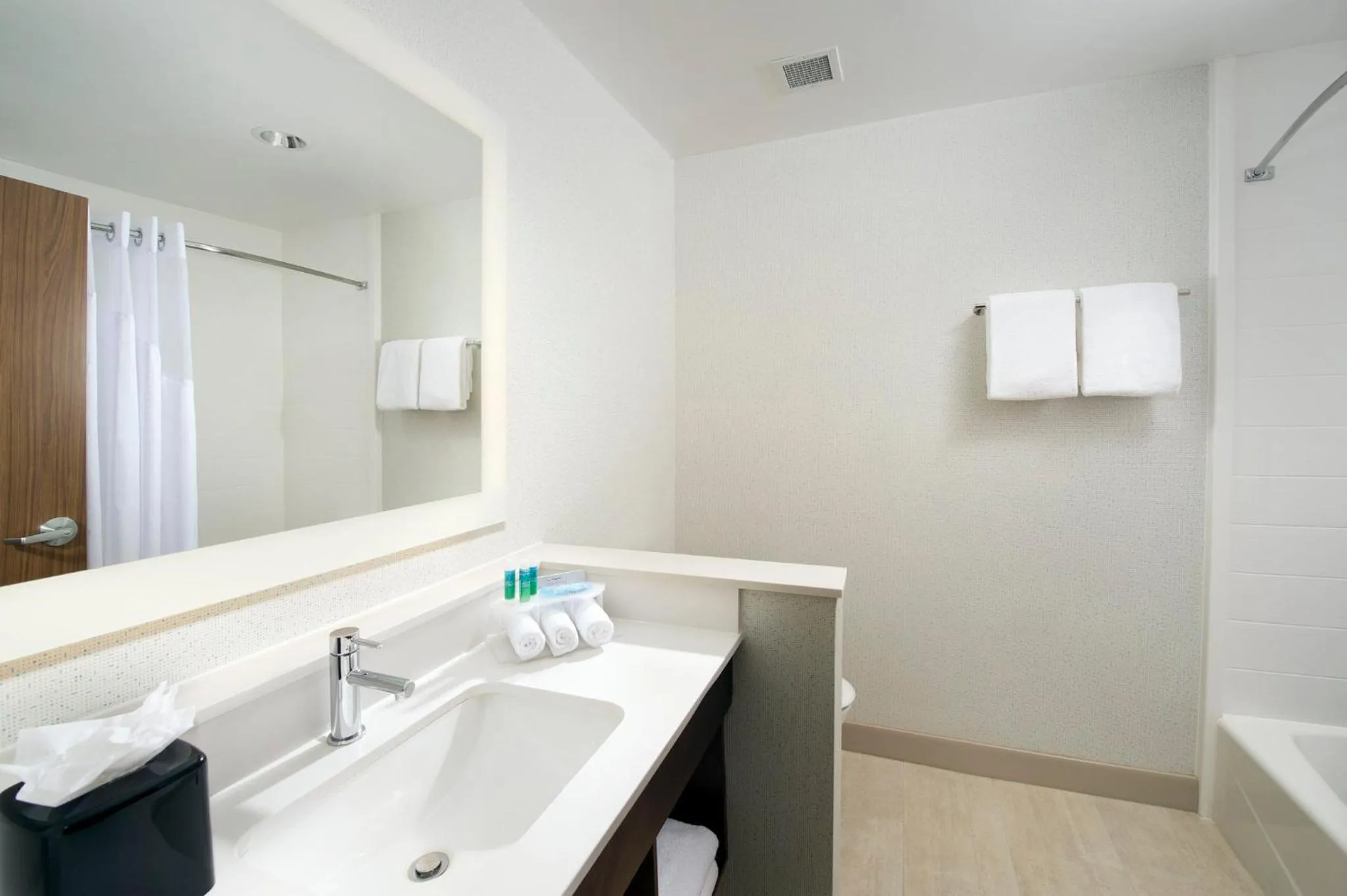 Bathroom in Holiday Inn Express & Suites New Braunfels by IHG