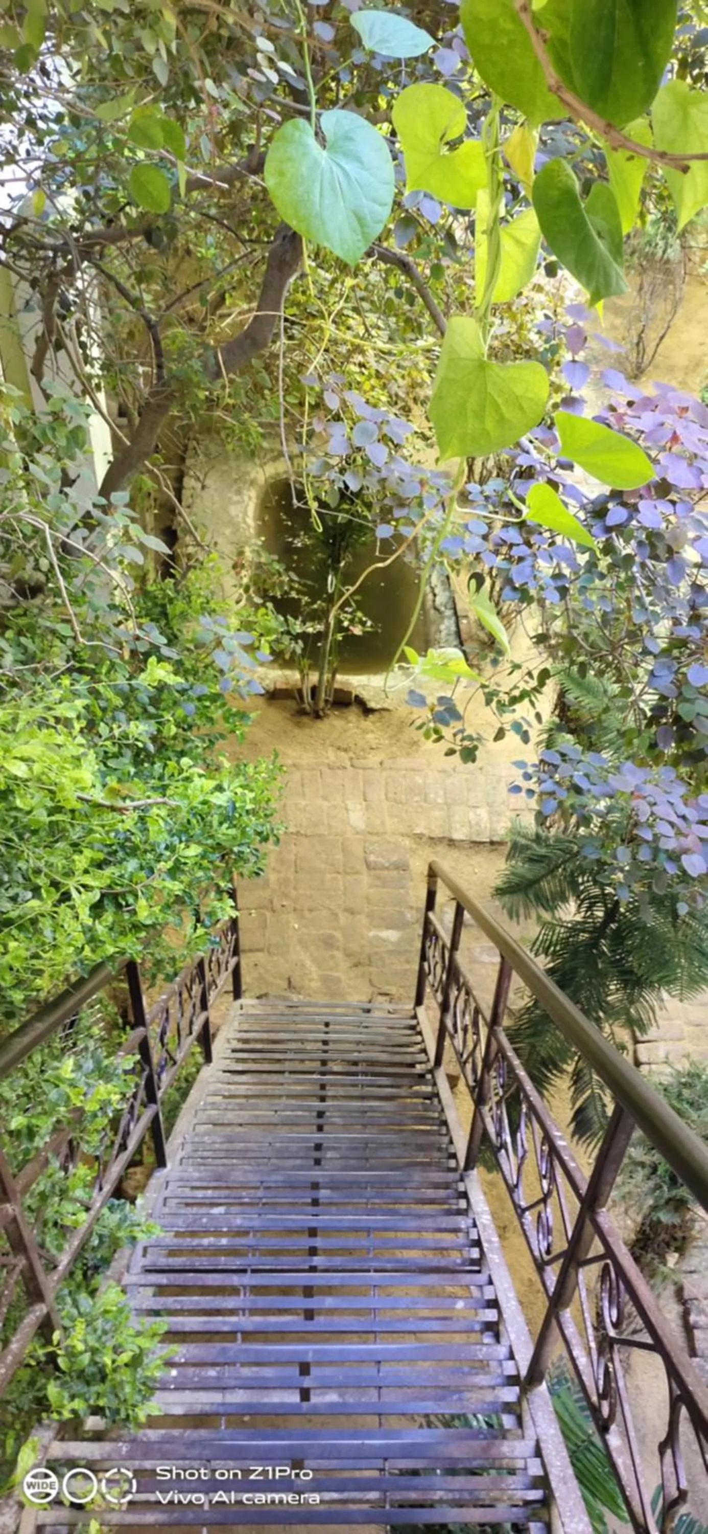 Radhika Palace Hotel