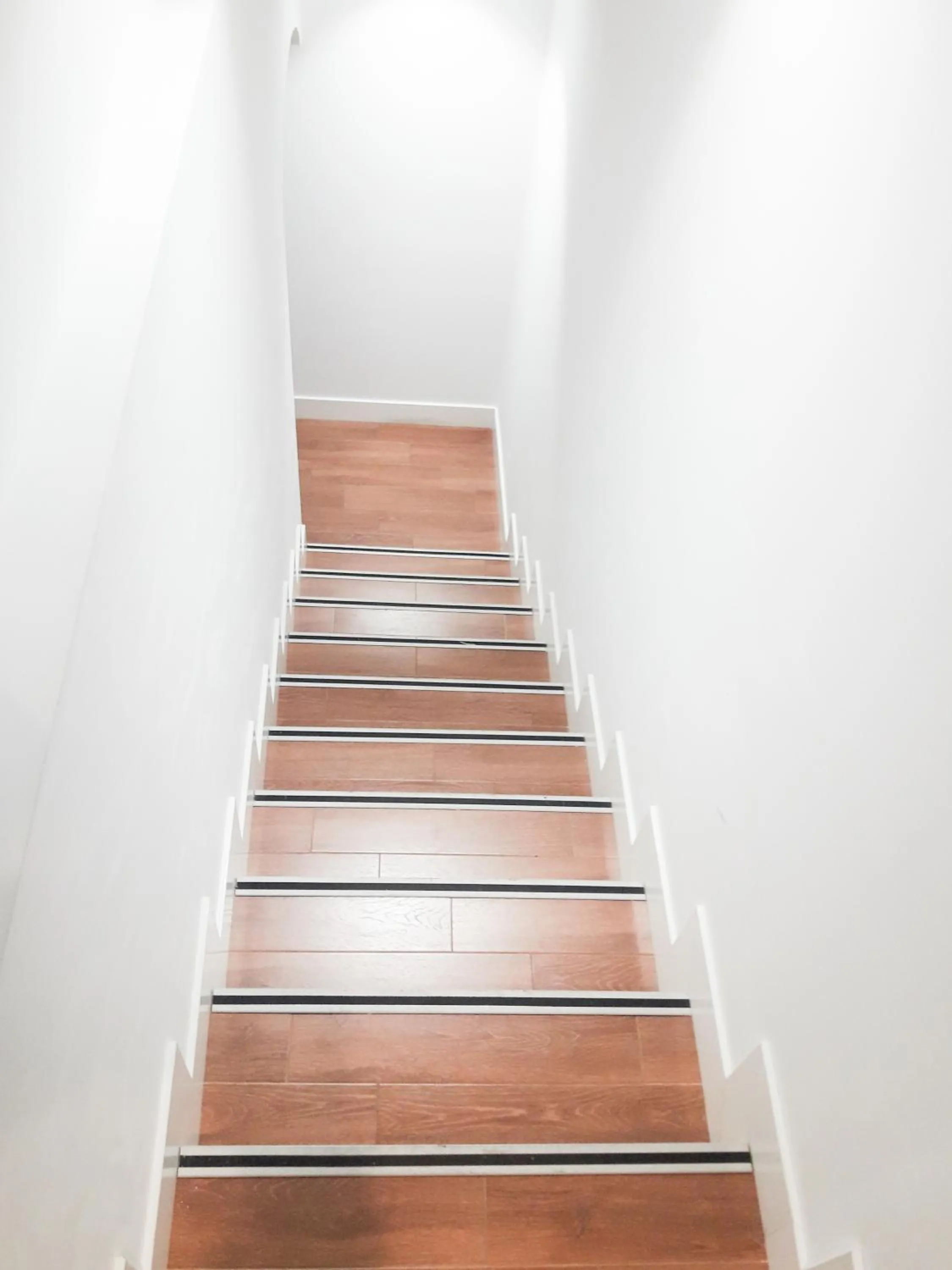 Other in Slow Suites Augusto