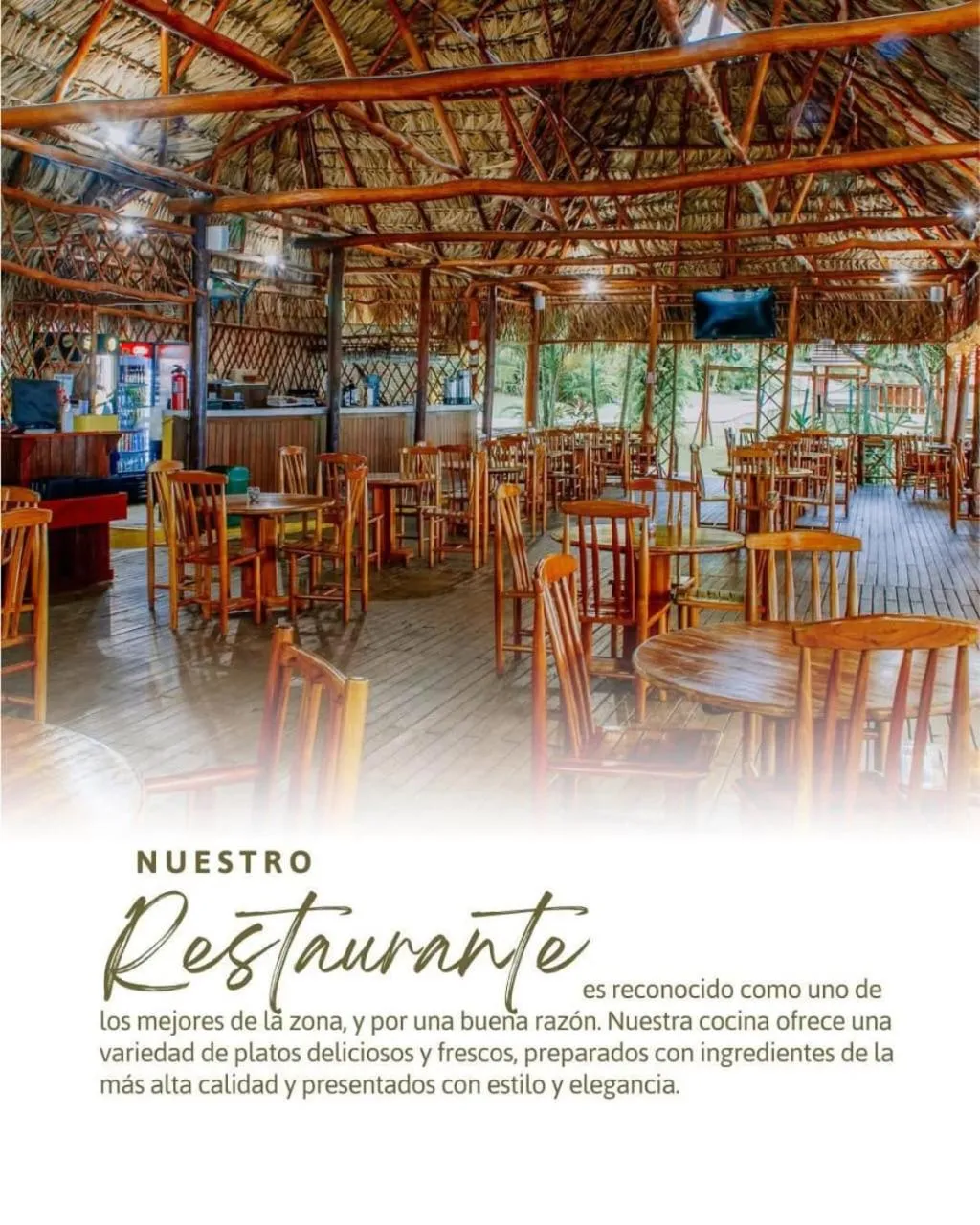 Restaurant/places to eat in Banana Palms Hotel