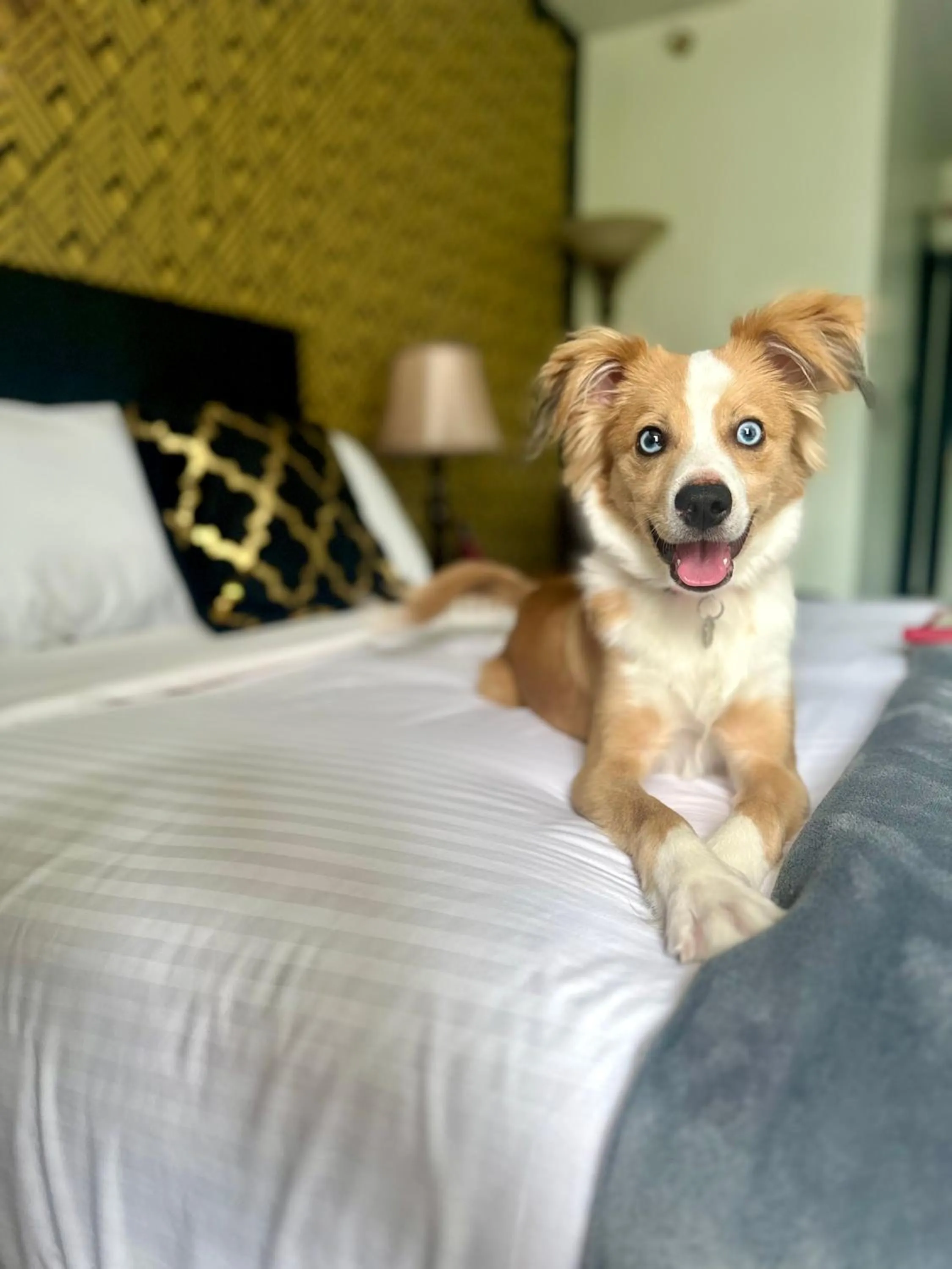 Bed in Latchis Hotel