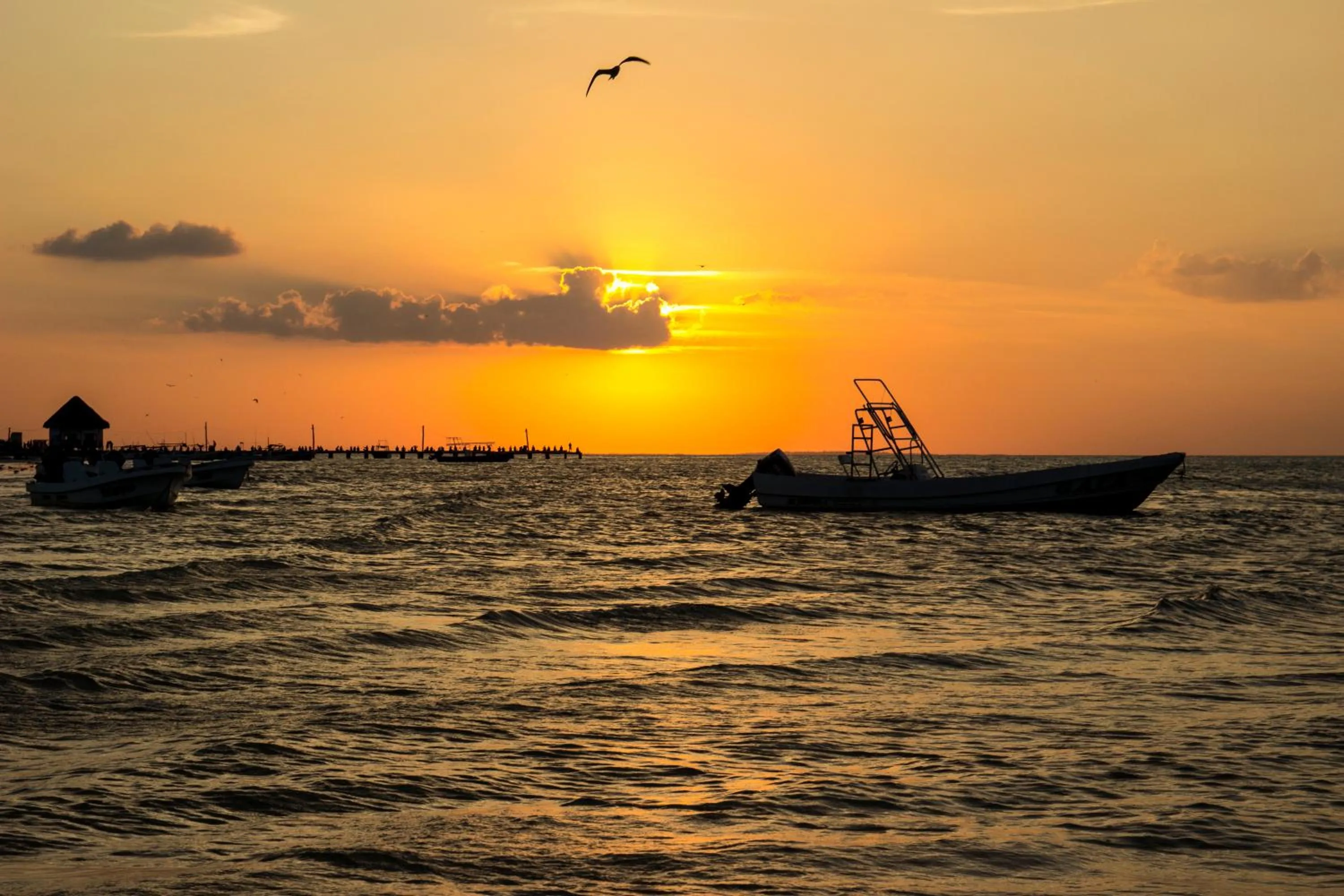 Natural landscape in Villas Margaritas Holbox
