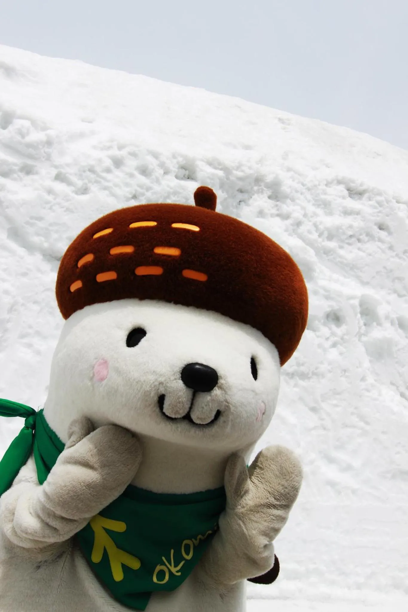 Skiing in Shiga Ichii Hotel