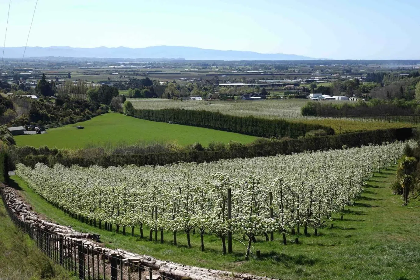 Activities in The Pear Orchard Lodge