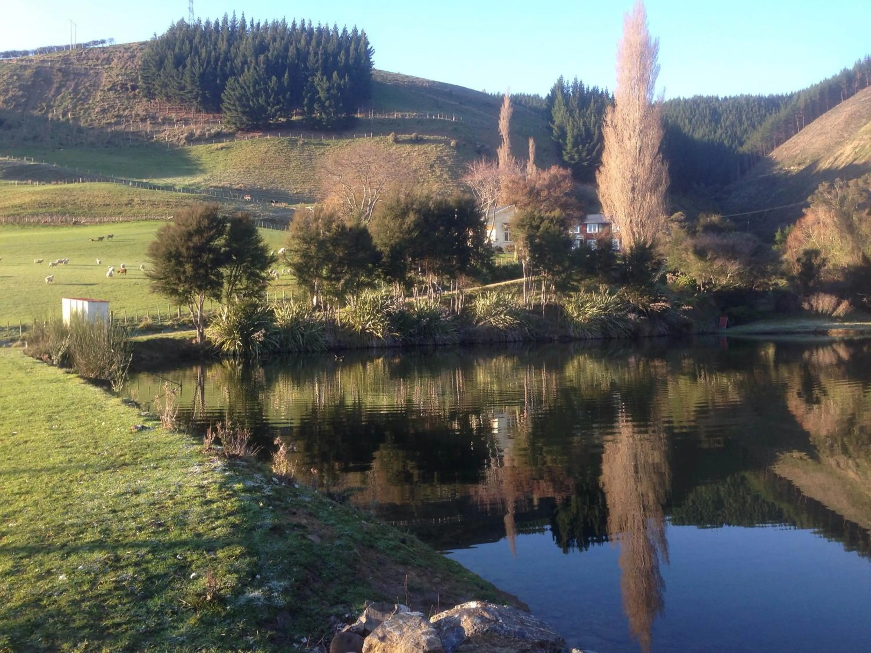 Natural landscape in The Pear Orchard Lodge