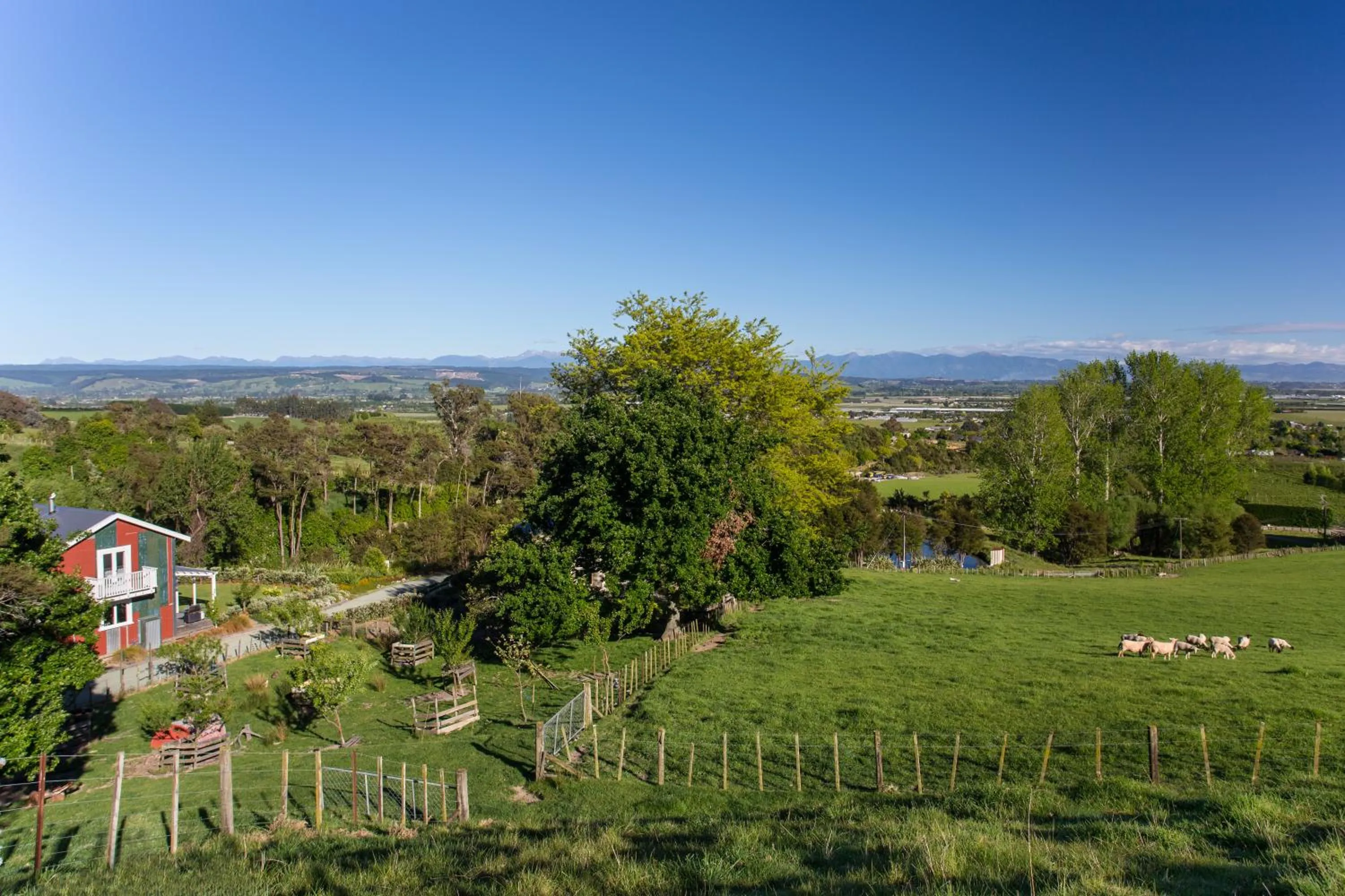 Natural landscape in The Pear Orchard Lodge