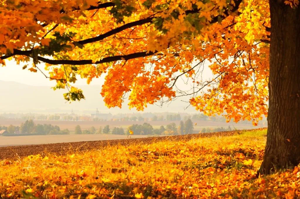 Off site in Hotel Praha