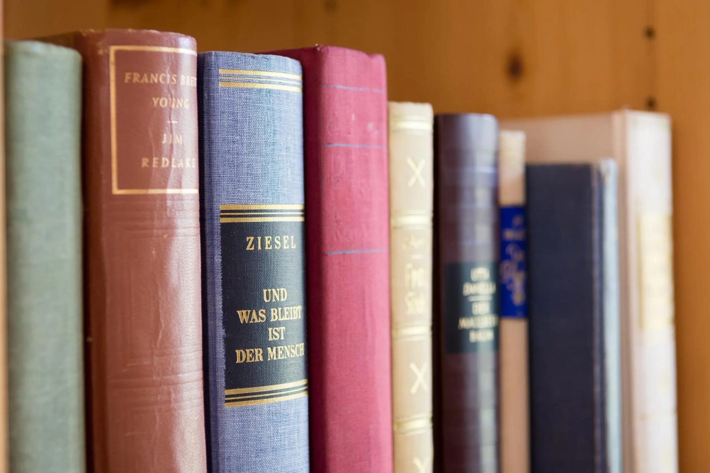 Library in Schloss Gumpoldskirchen