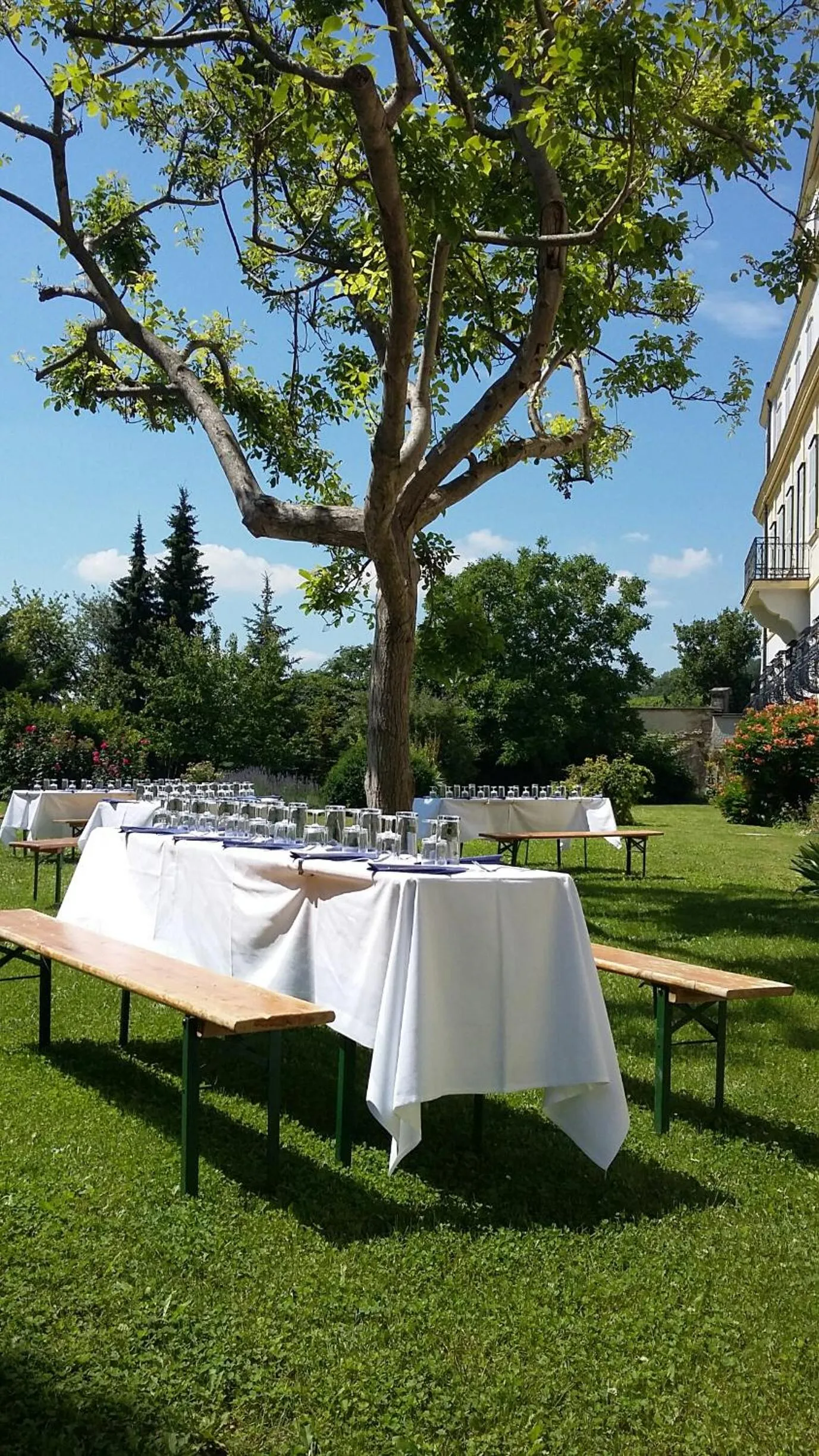 Property building in Schloss Gumpoldskirchen