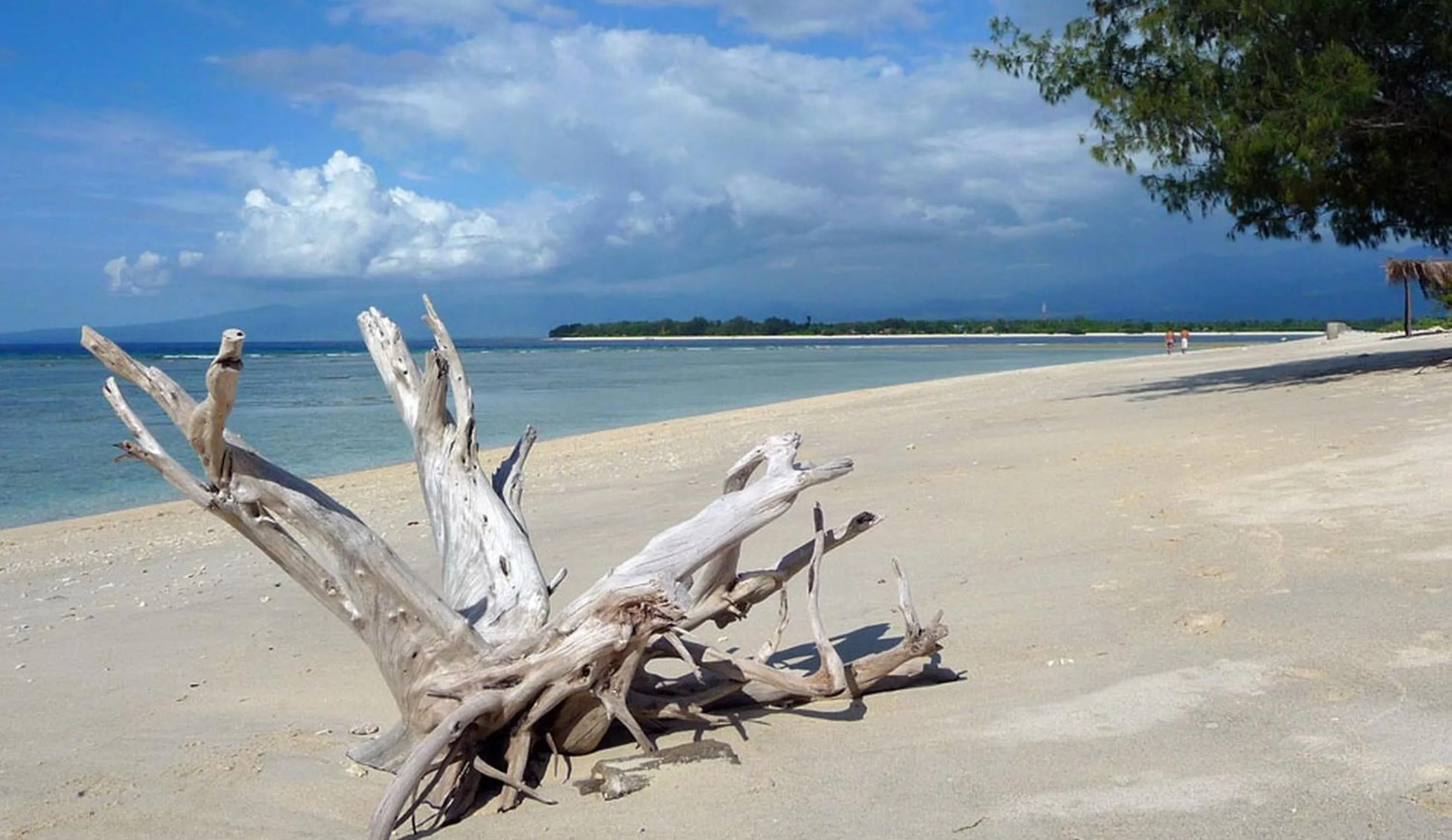 Natural landscape in Mango Dive & Bungalow