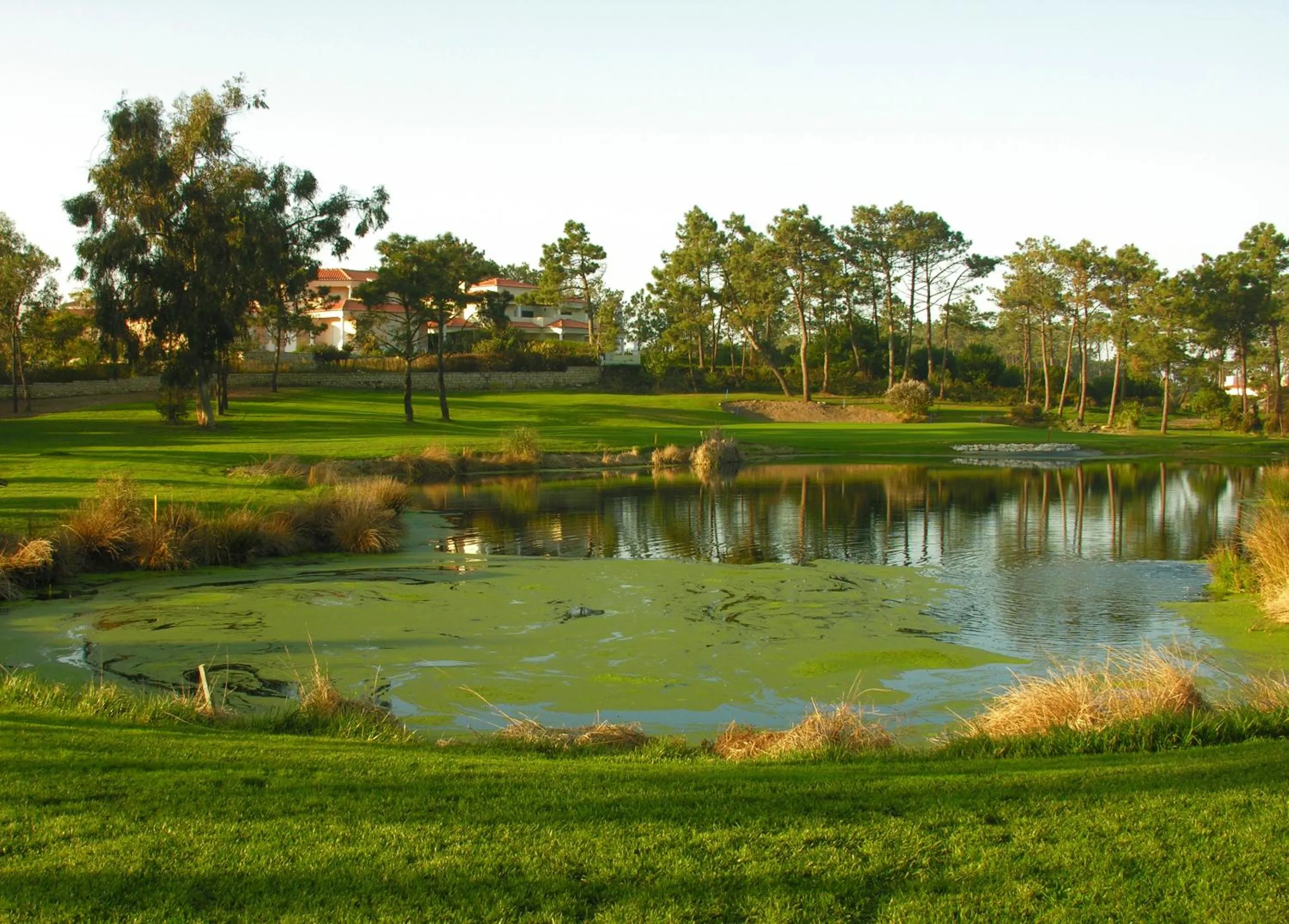 Golfcourse in Praia Del Rei SeaView