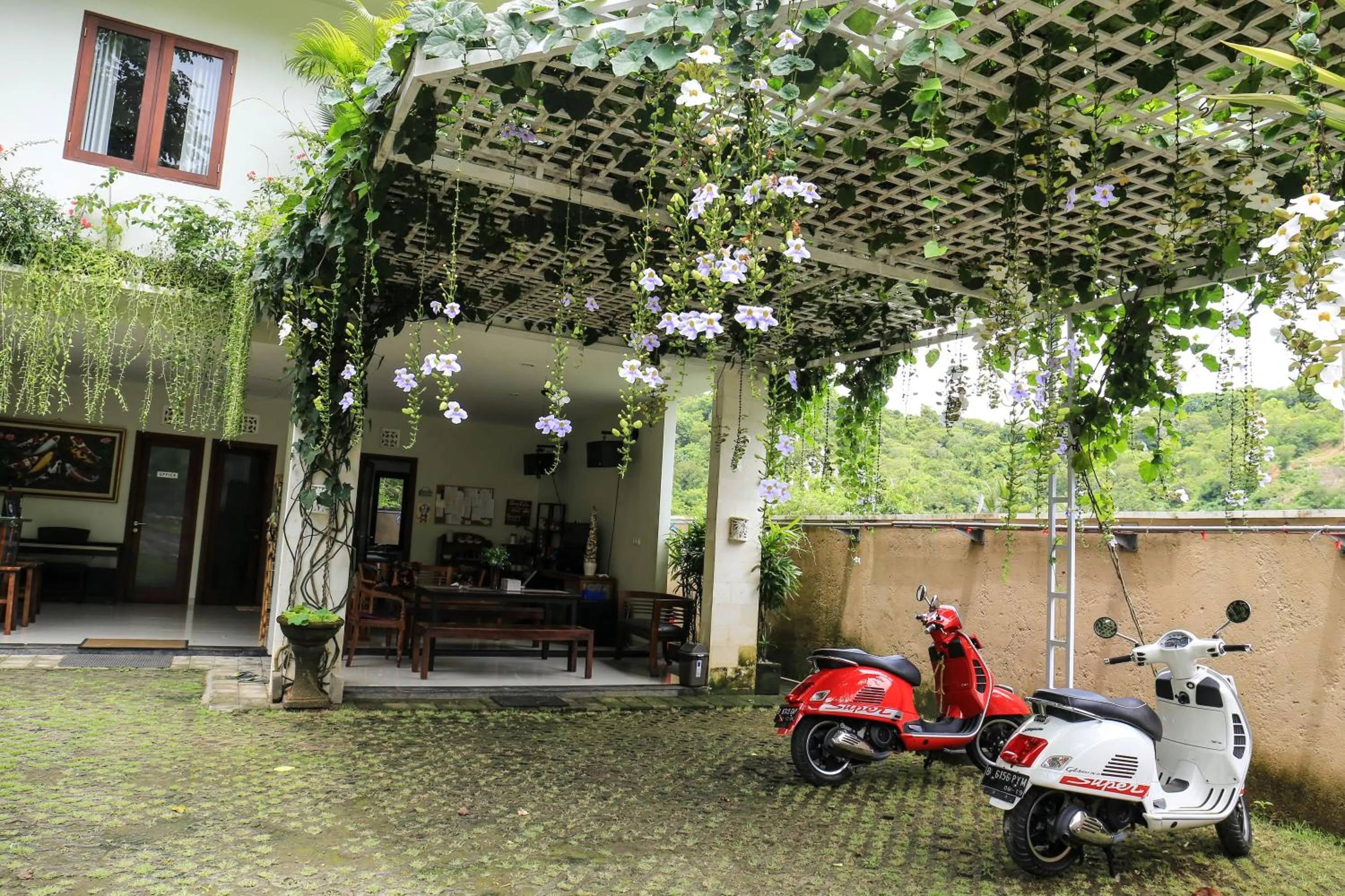 Patio in Dewi Villa Padangbai Hotel