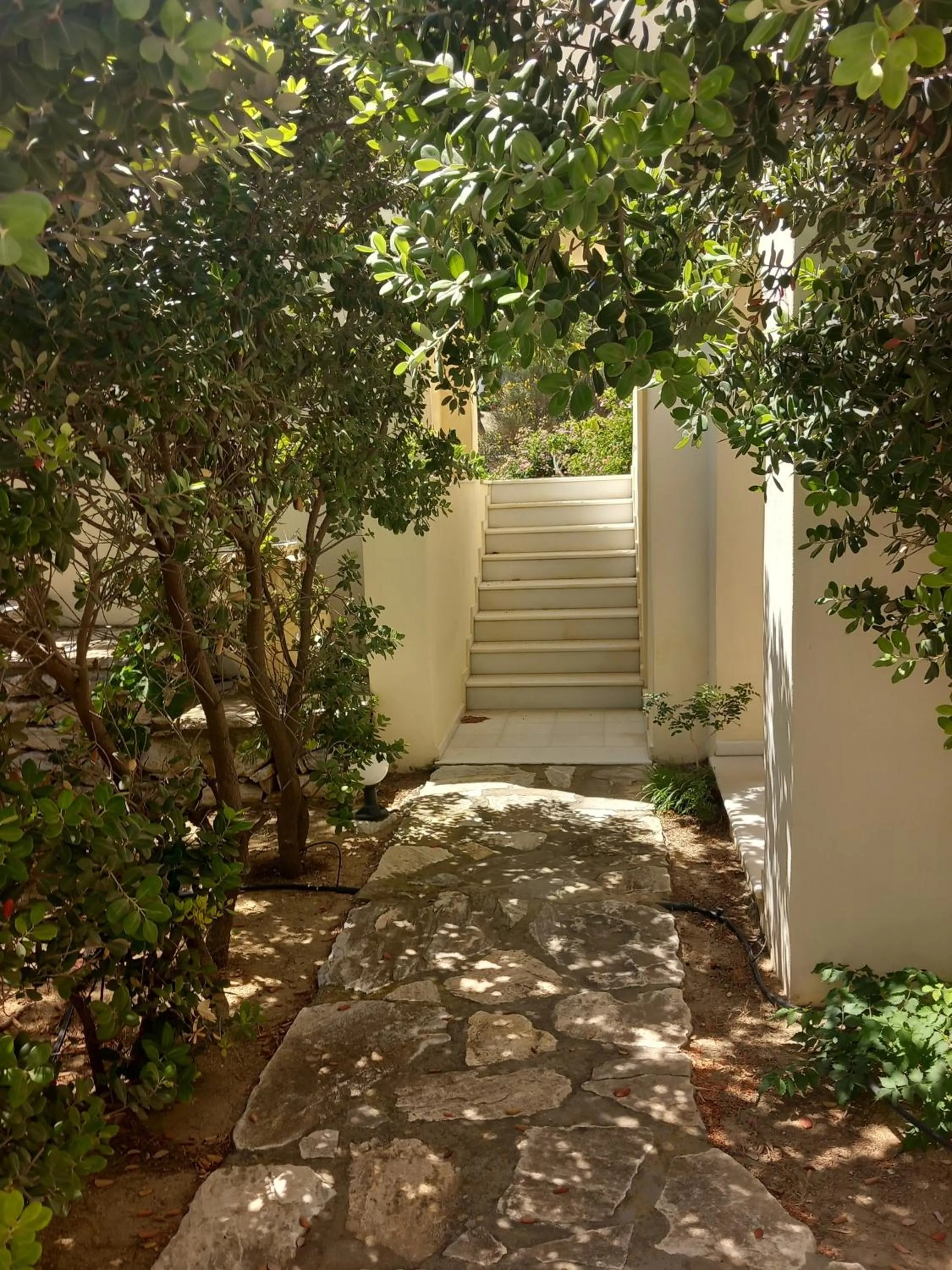 Garden in Kedros Villas