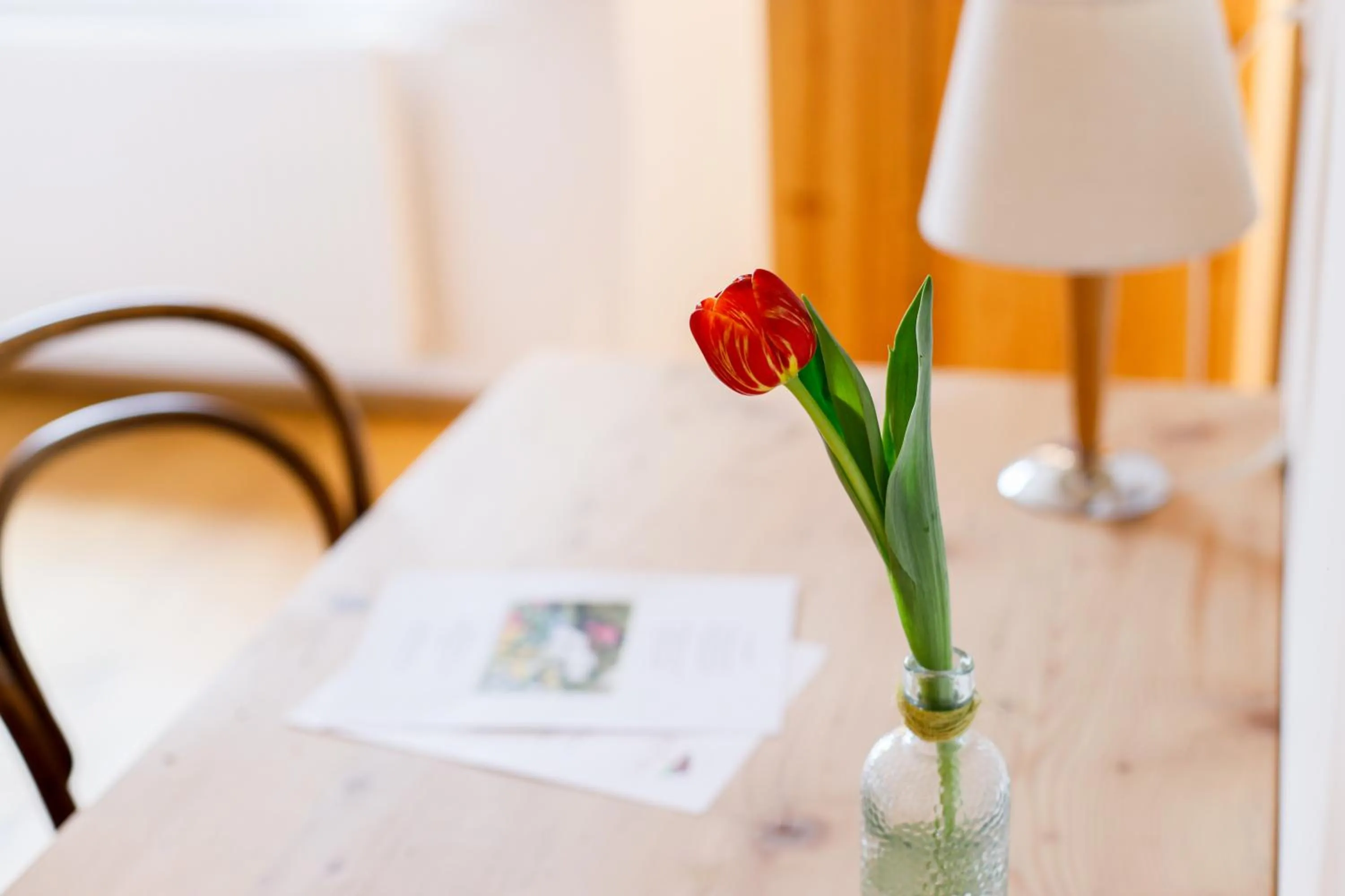 Photo of the whole room in Gasthof Adler