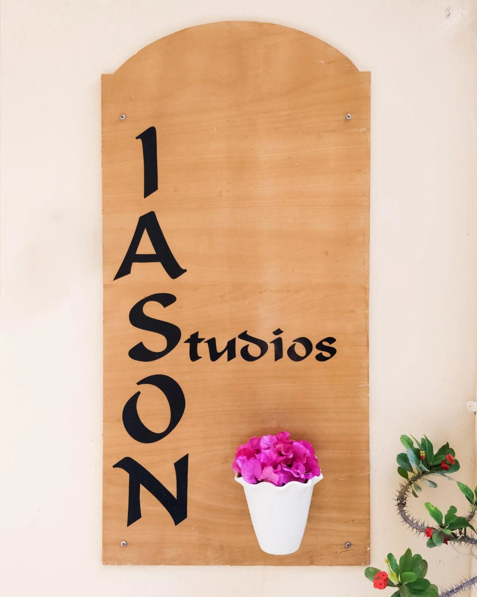 Property logo or sign in Iason Studios
