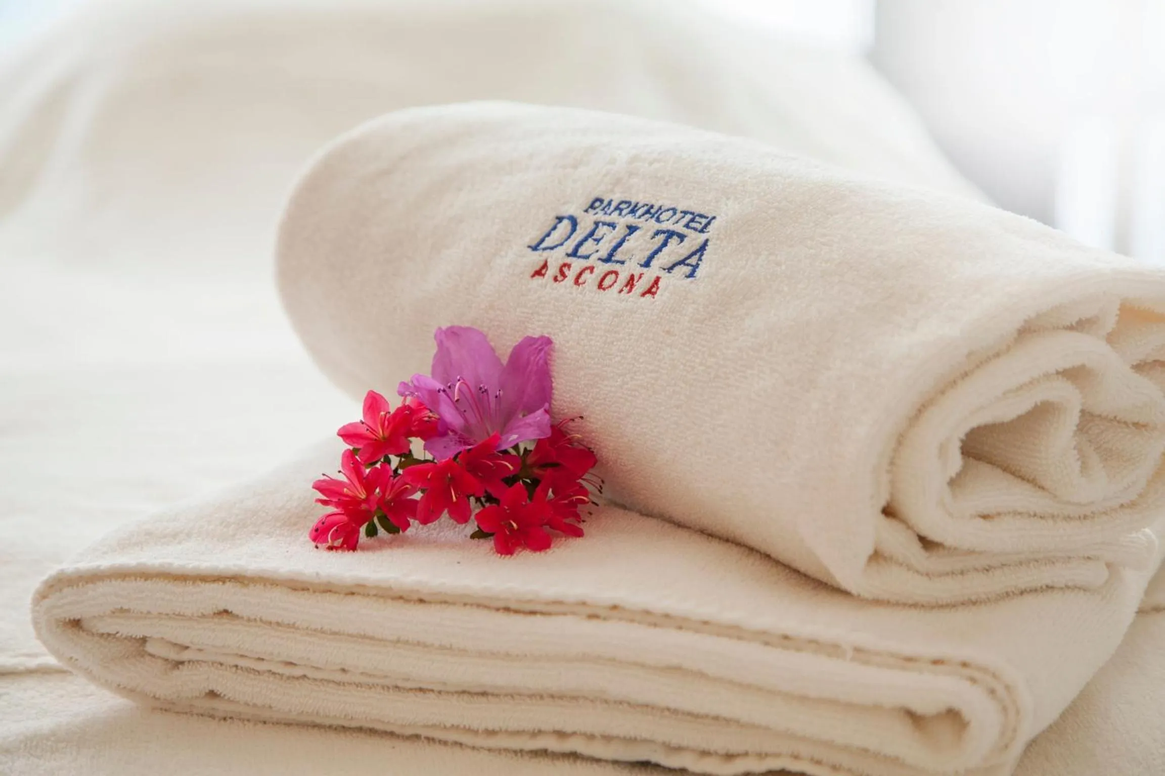 Area and facilities, Bed in Villa Favorita - Parkhotel Delta