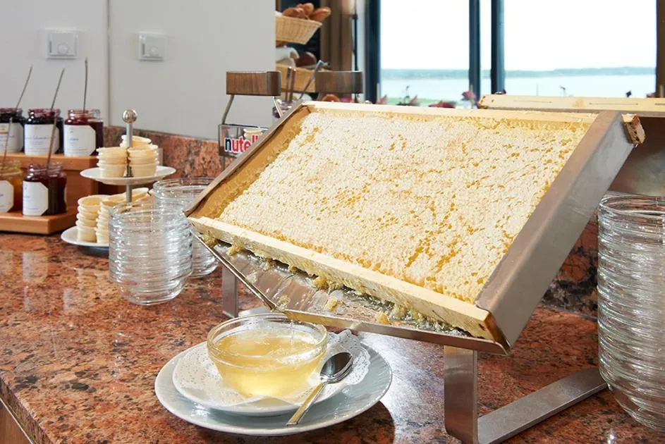 Buffet breakfast in See- und Waldresort Gröbern