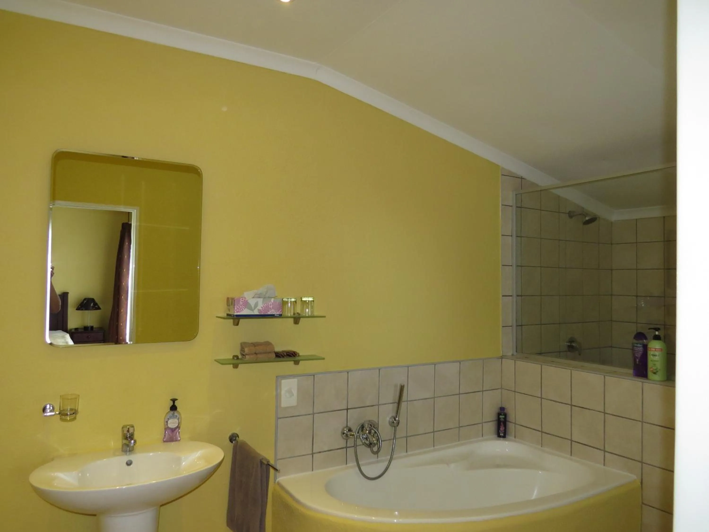 Bathroom in White House Lodge