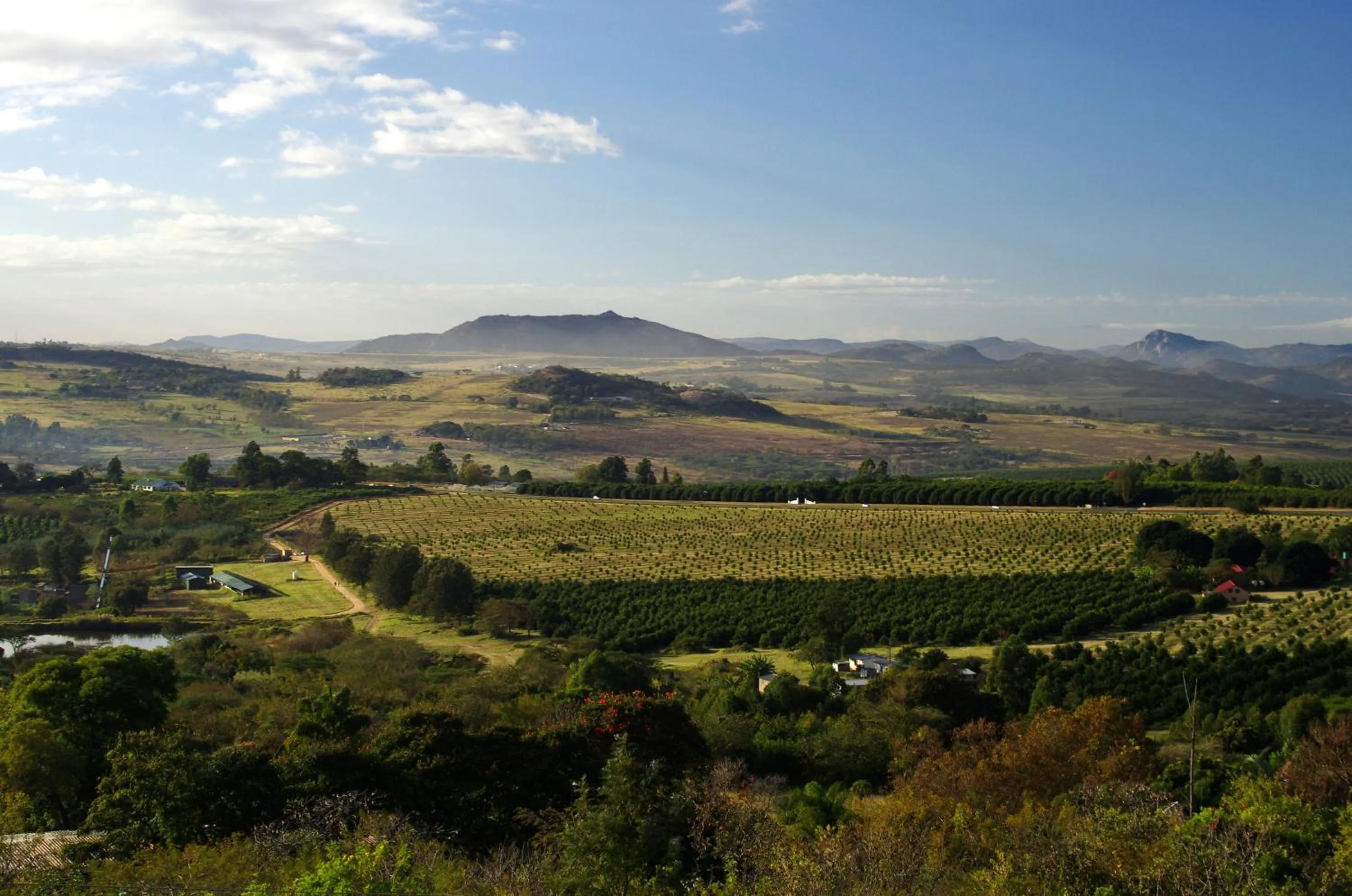 View (from property/room) in White House Lodge
