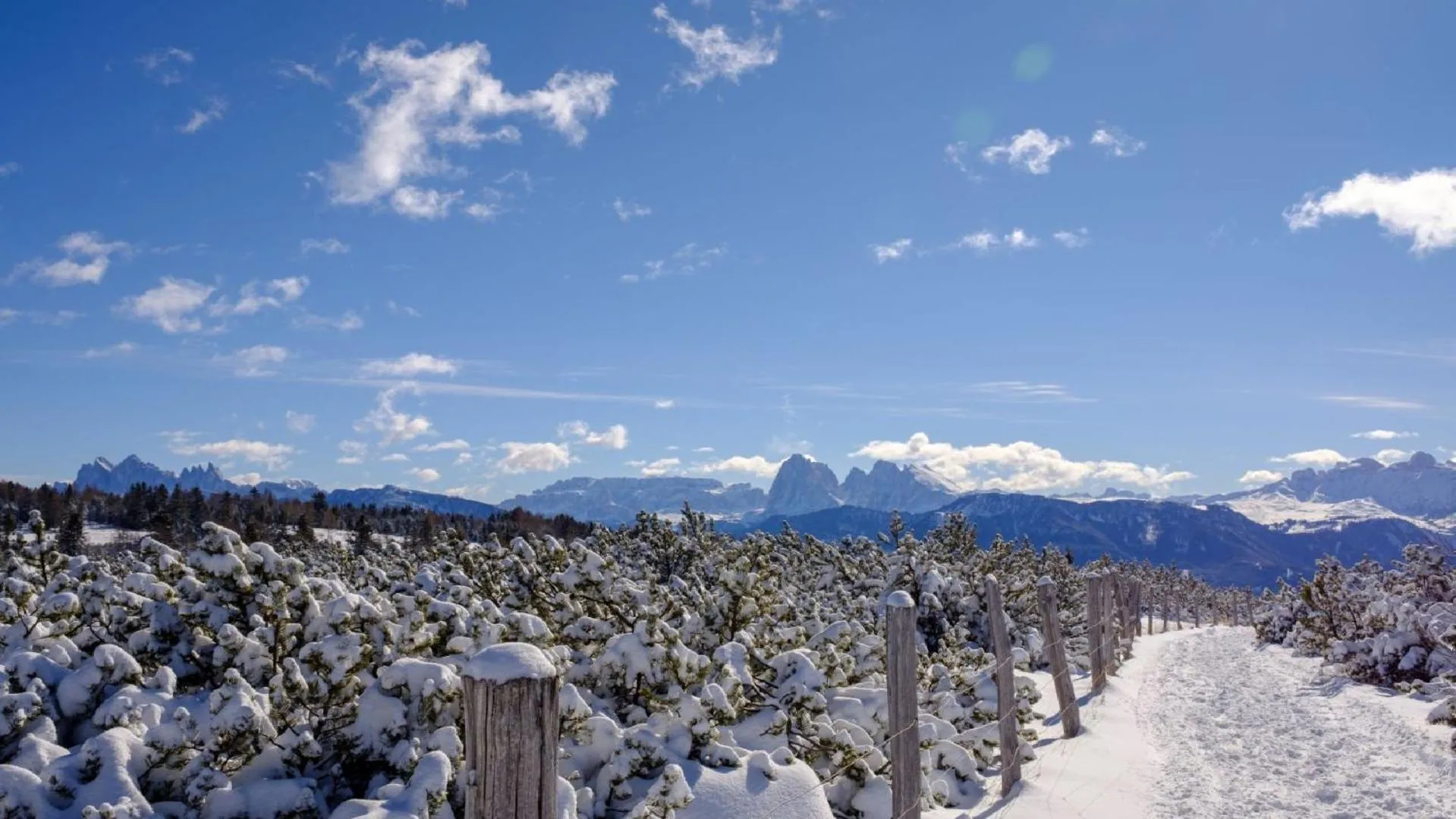 Winter in Cityhotel Goldener Adler B&B