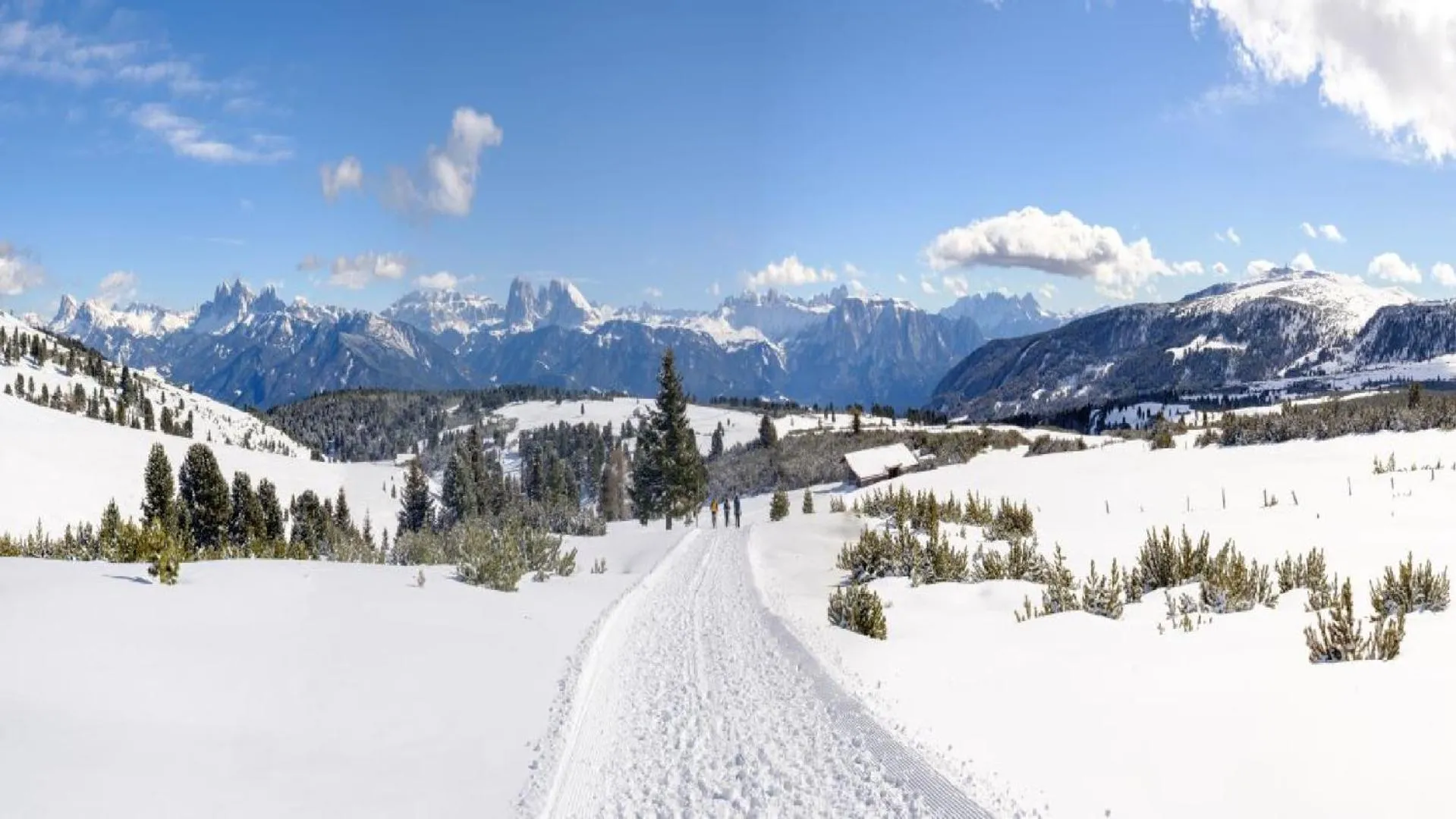 Winter in Cityhotel Goldener Adler B&B