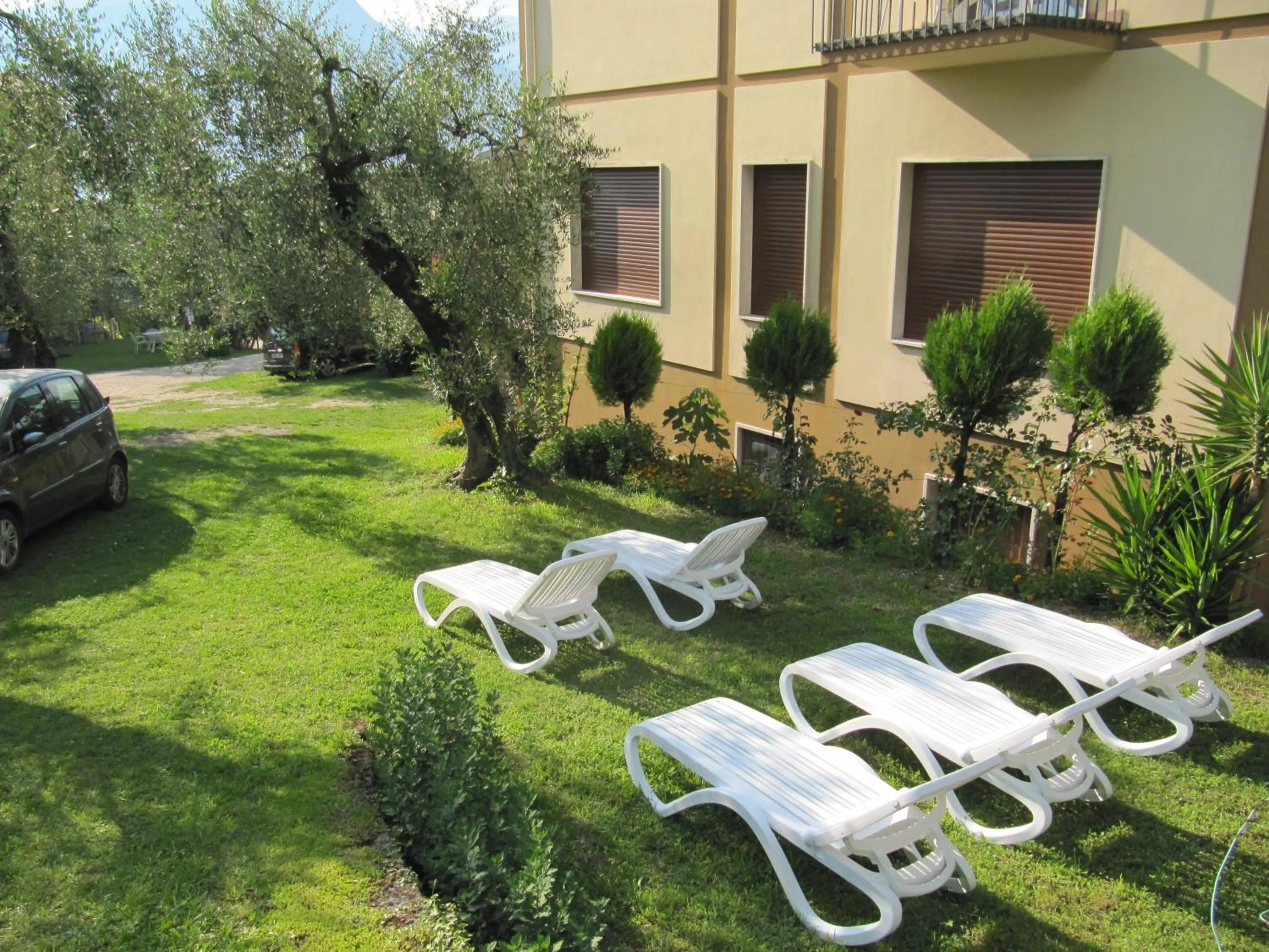 Garden in Hotel Carlo