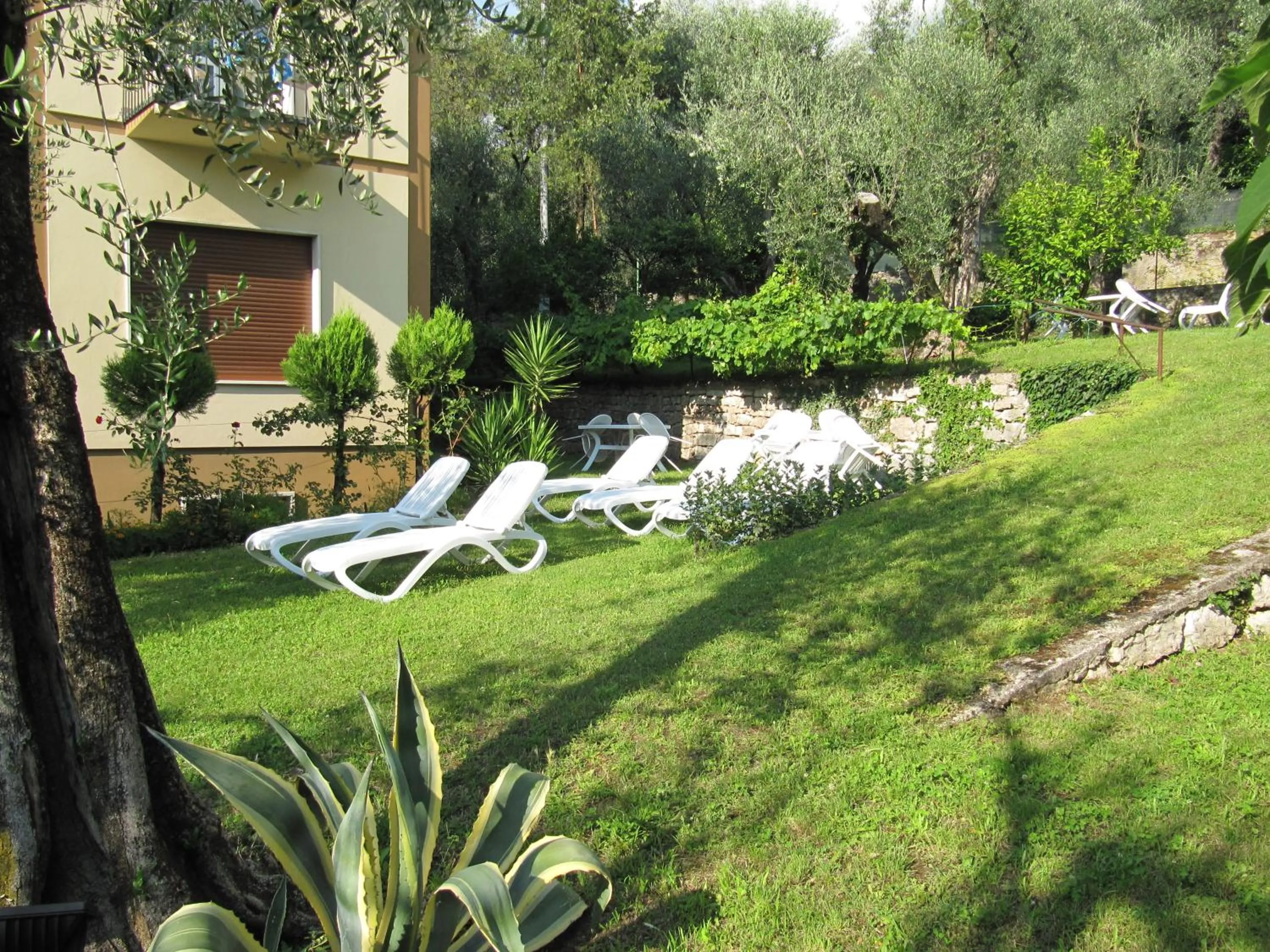 Garden in Hotel Carlo
