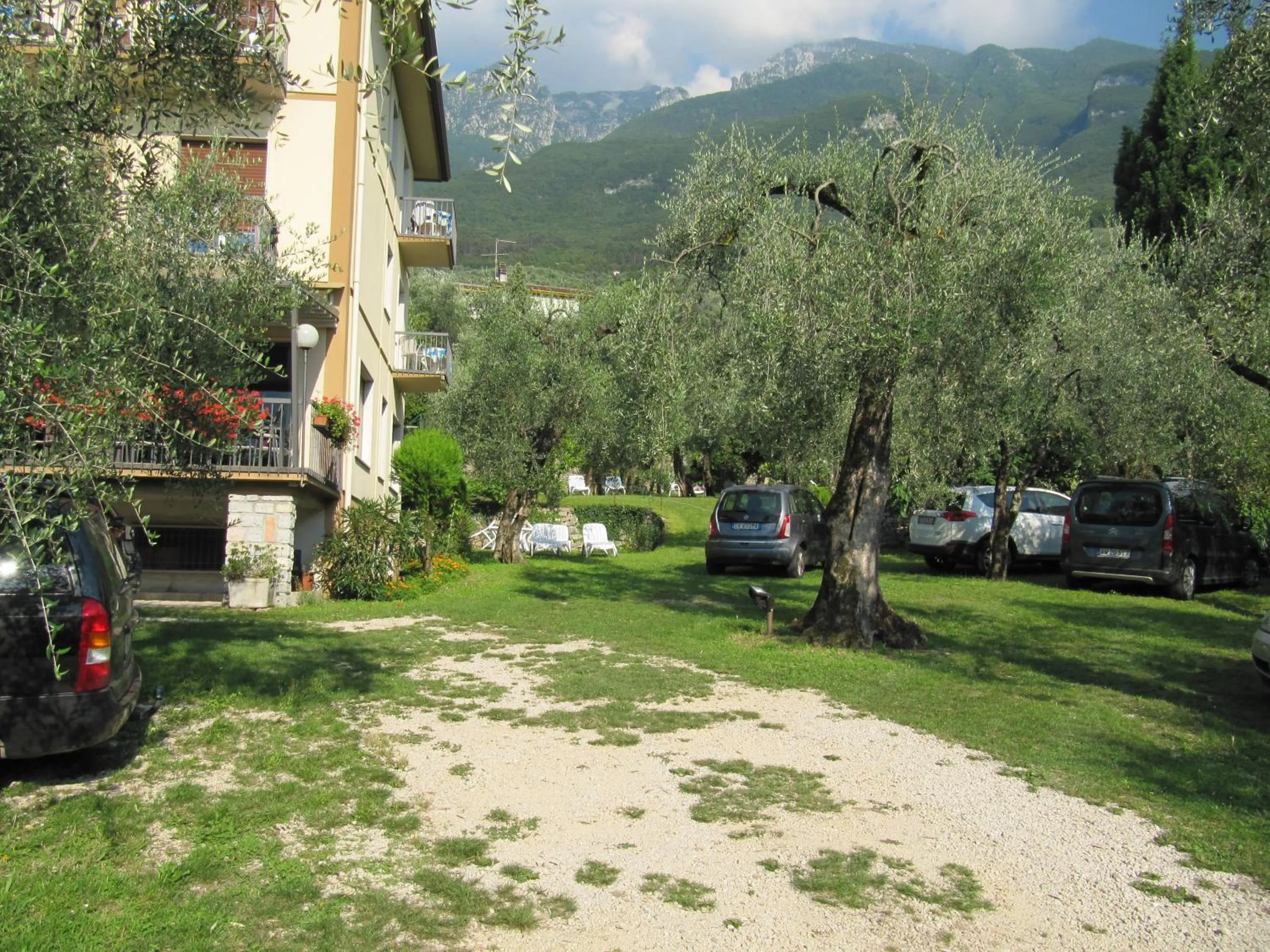 Garden in Hotel Carlo
