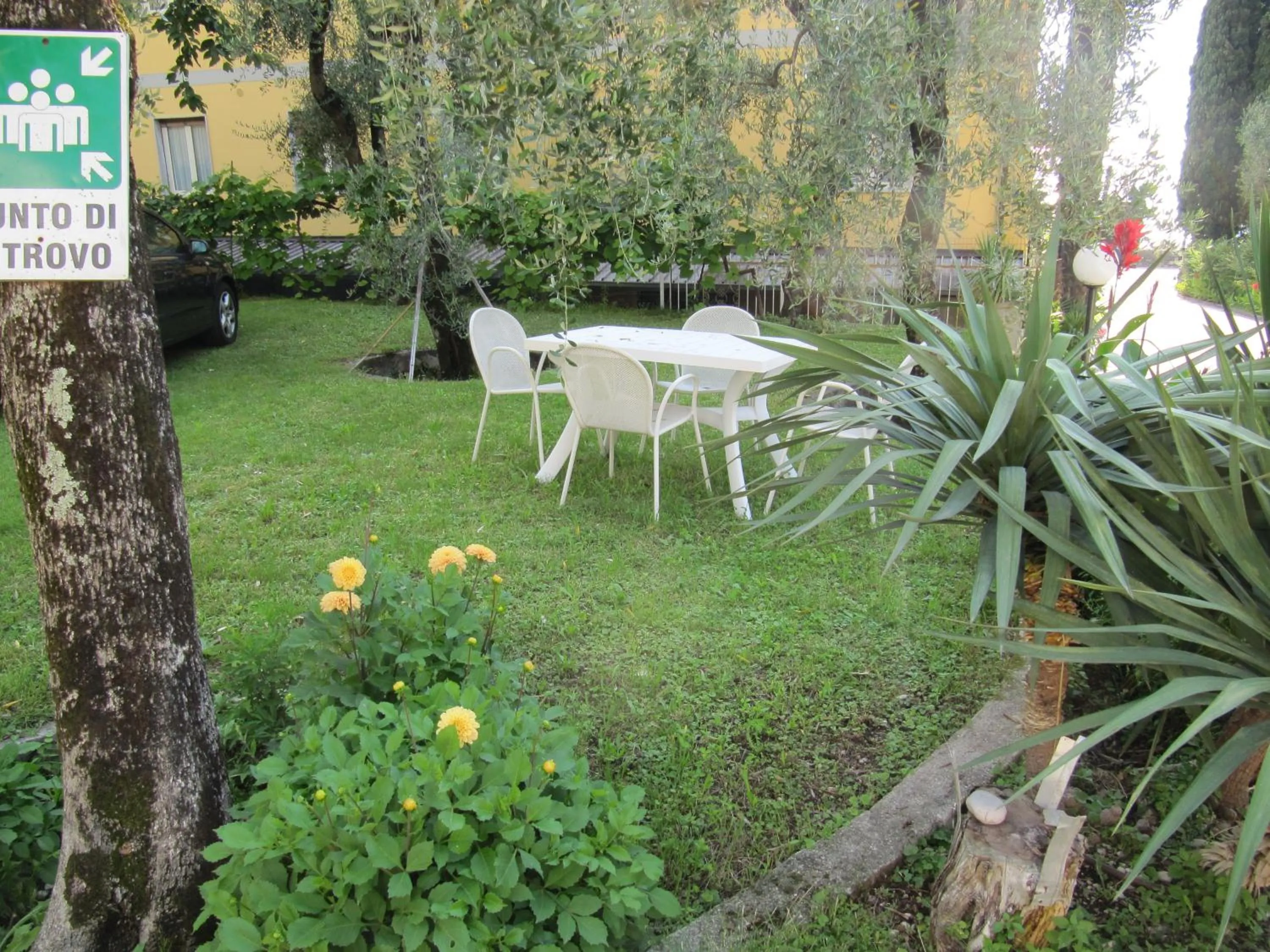 Garden in Hotel Carlo