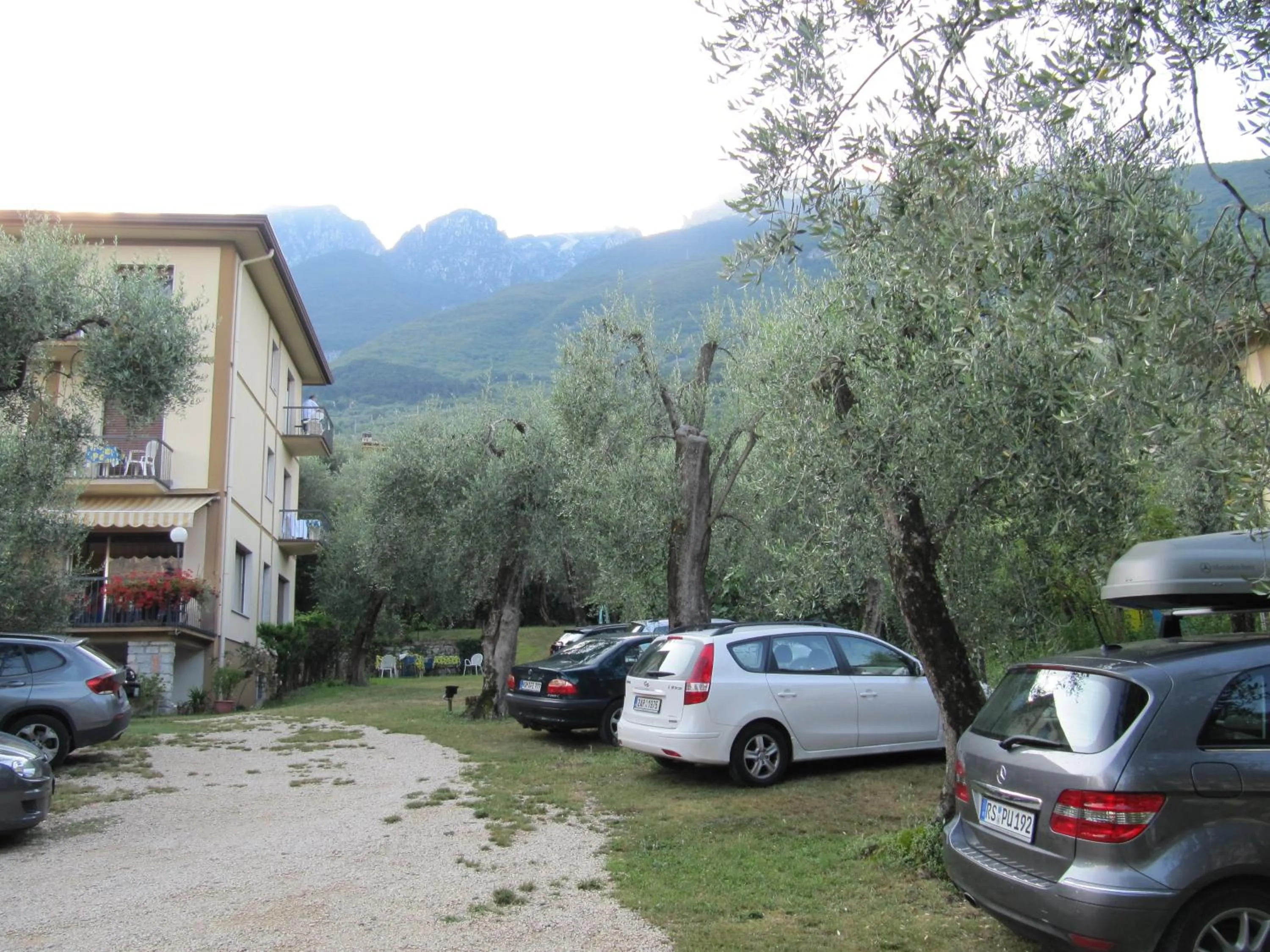 Garden in Hotel Carlo