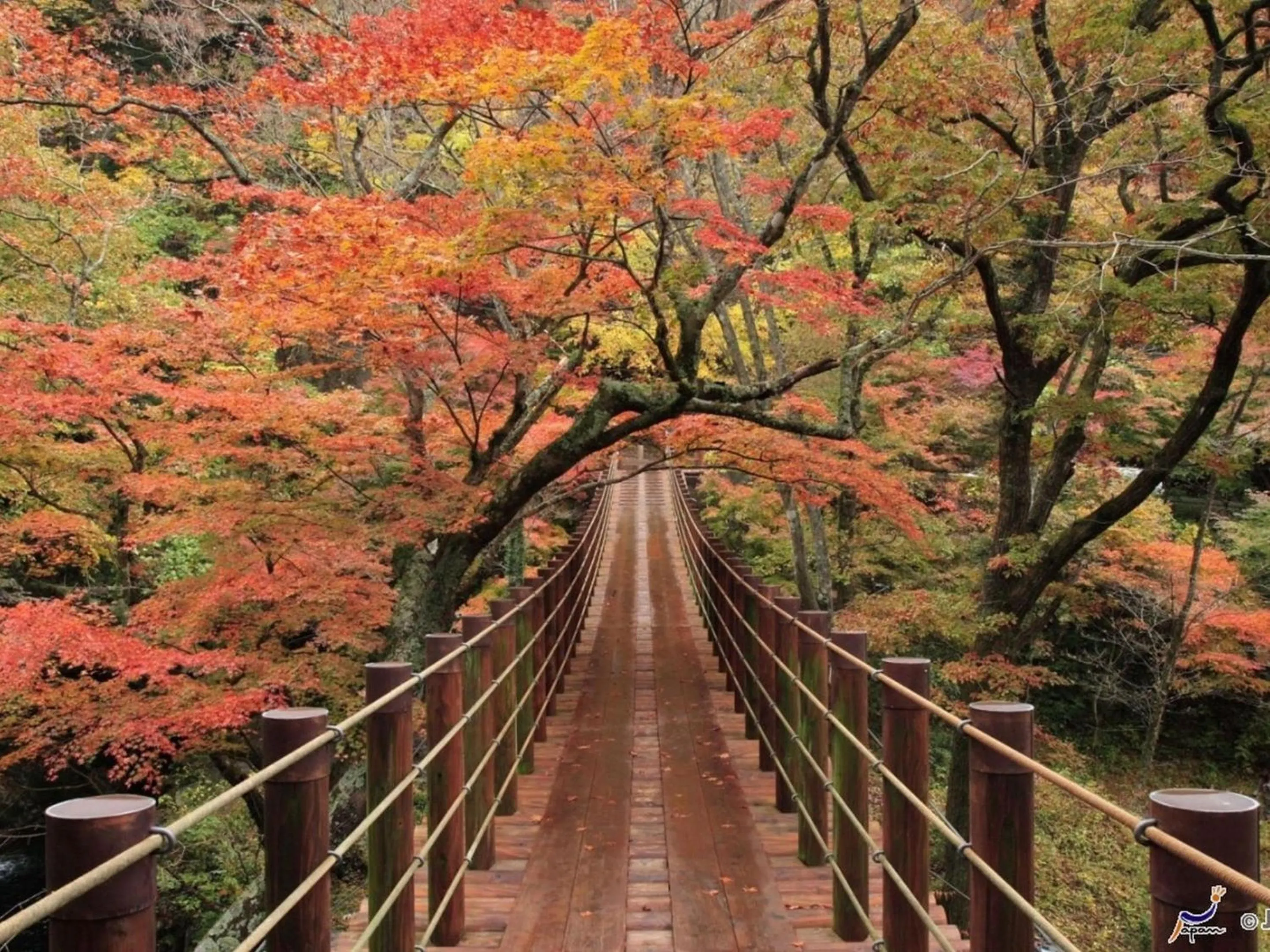 Nearby landmark in KOKO STAY Hitachi- formerly Hotel Wing International Hitachi