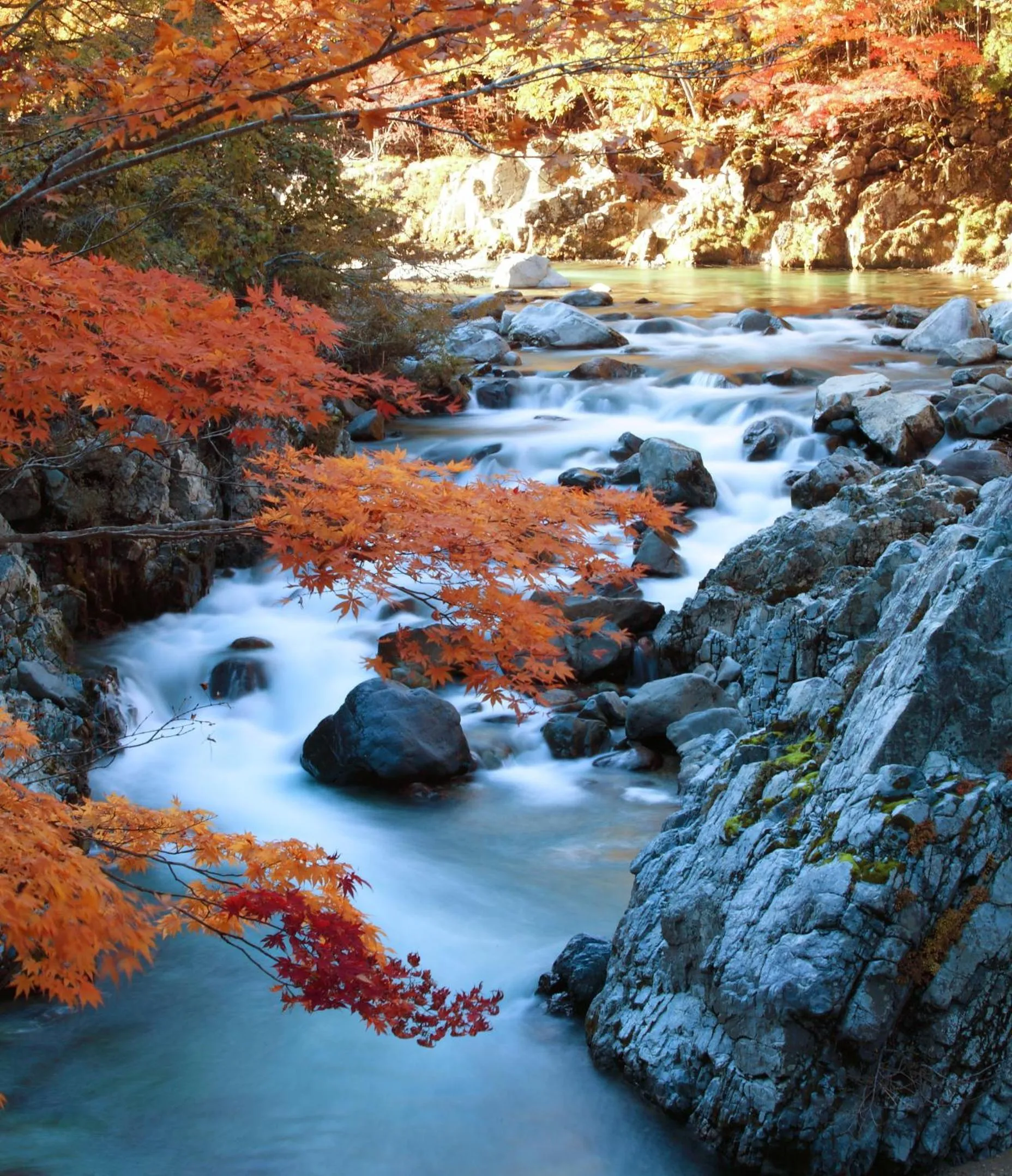 Natural landscape in Hotel Miki