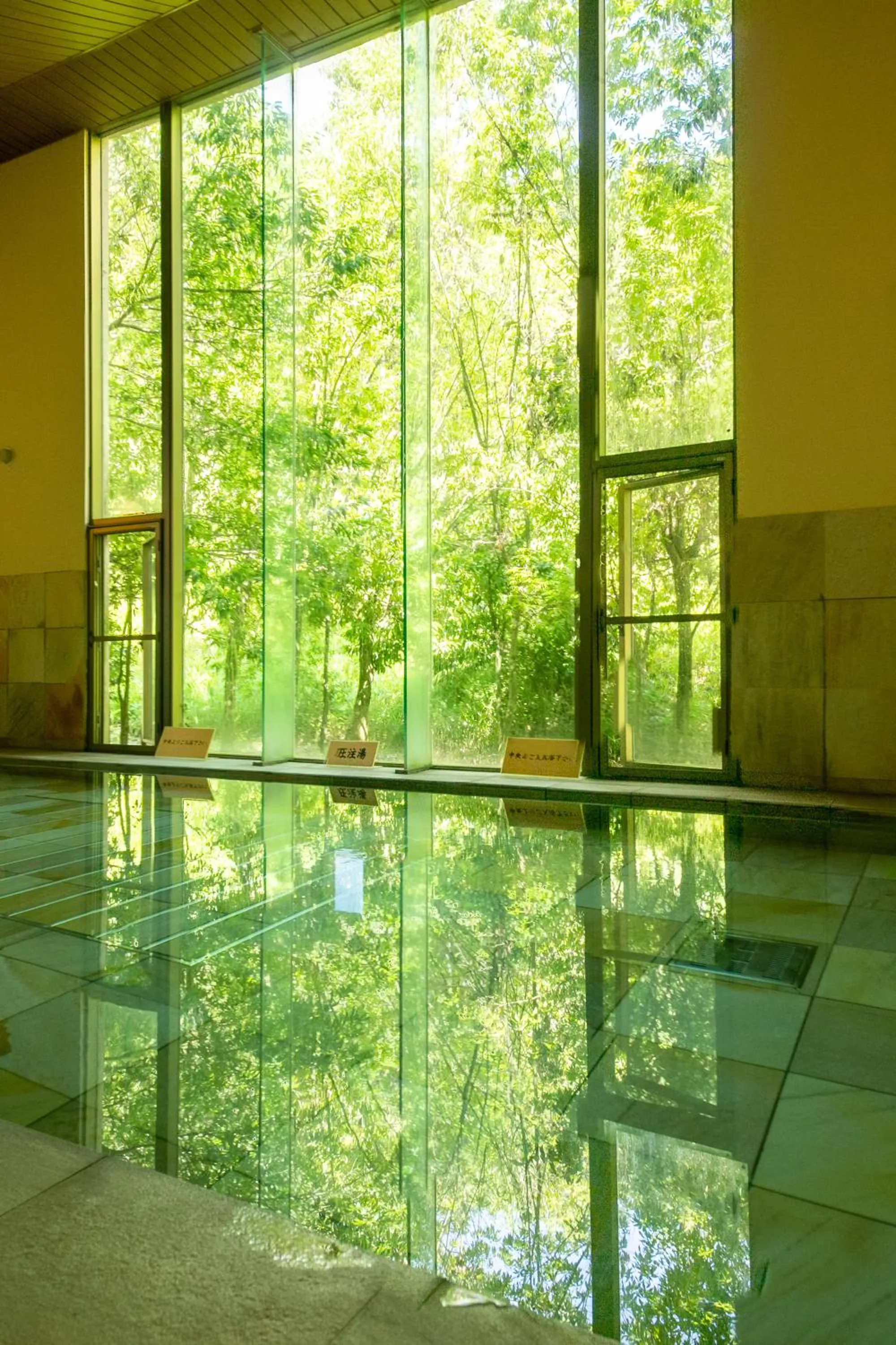 Hot Spring Bath in Hotel Miki